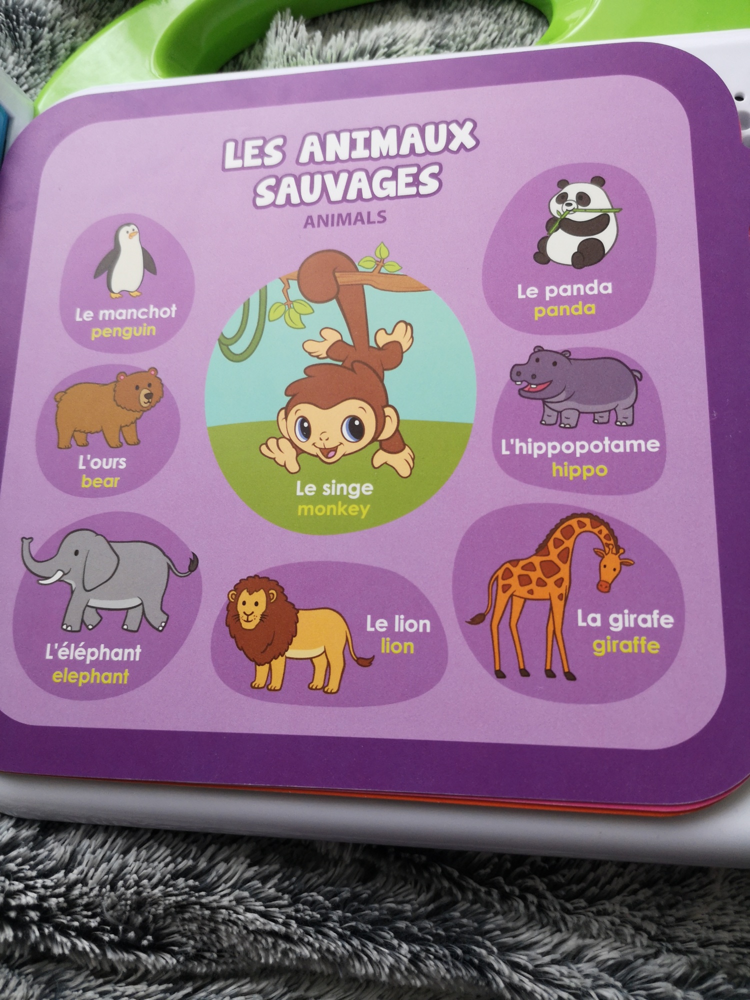 Pré-visualisation