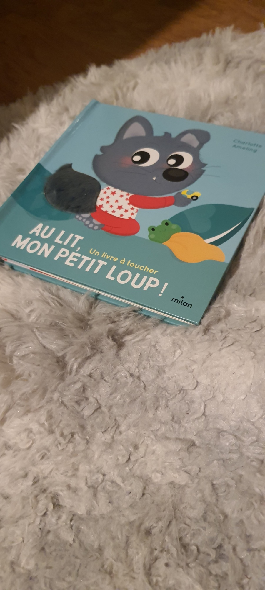 Pré-visualisation