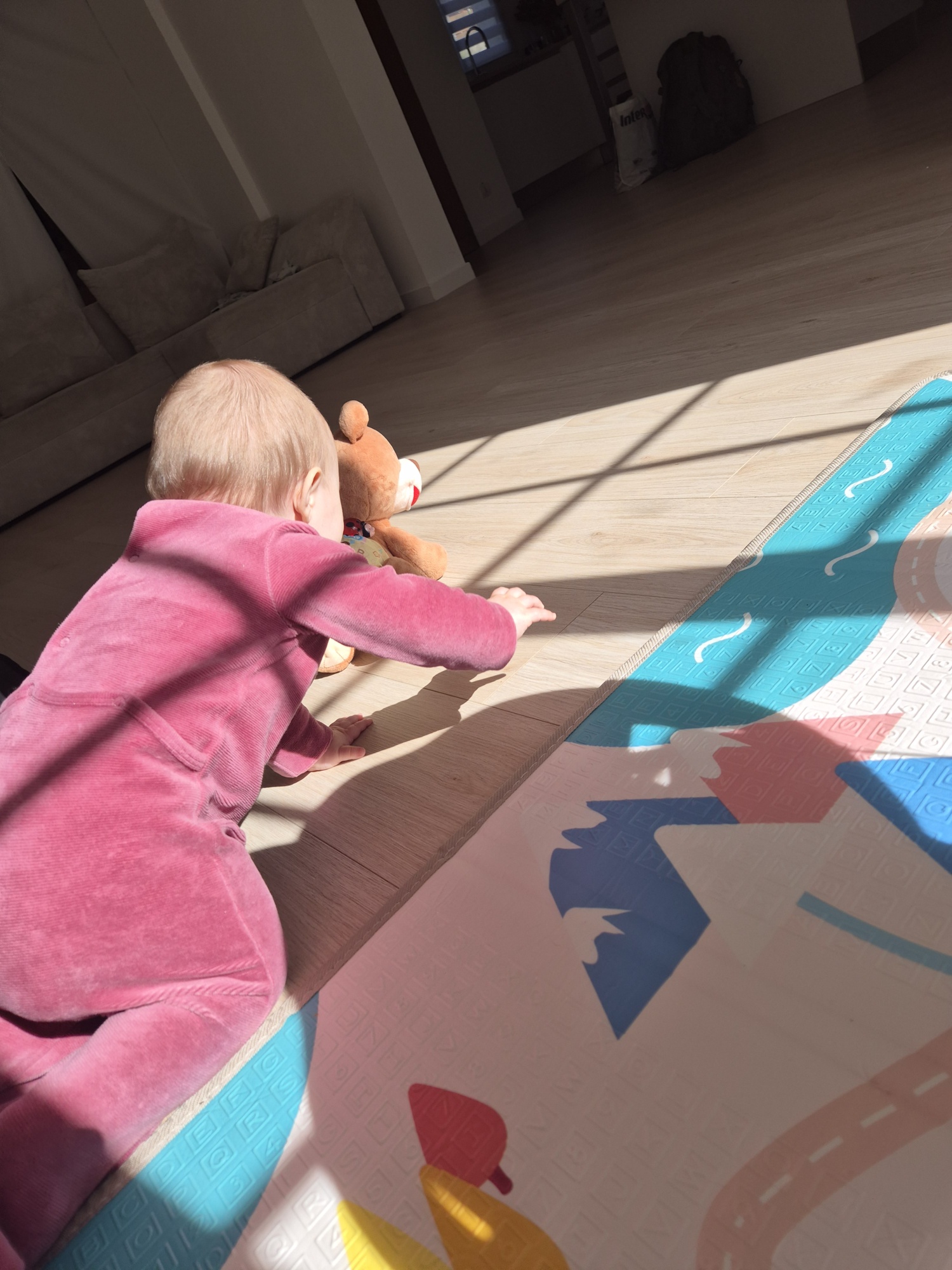Pré-visualisation