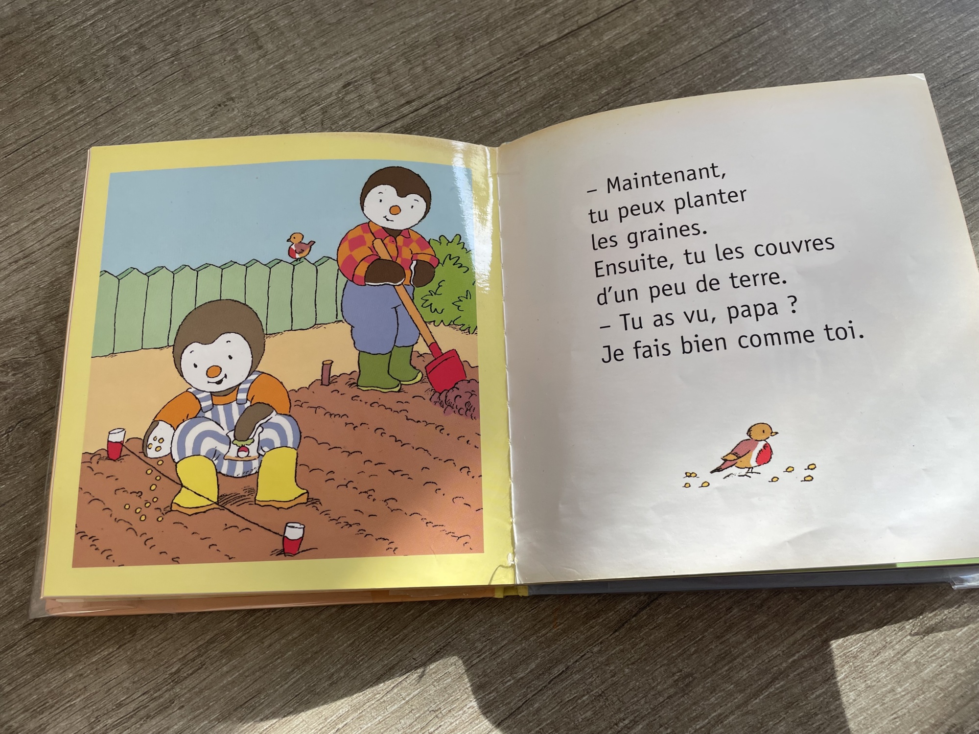 Pré-visualisation