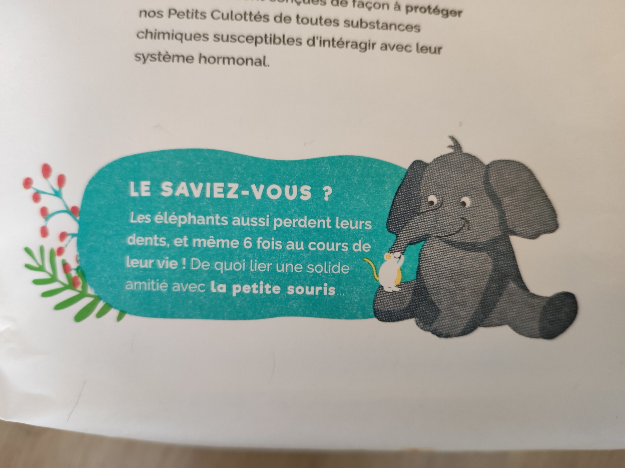 Pré-visualisation