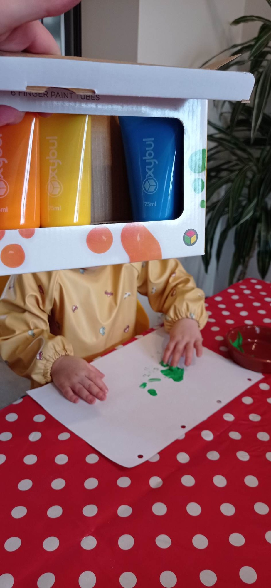 Pré-visualisation