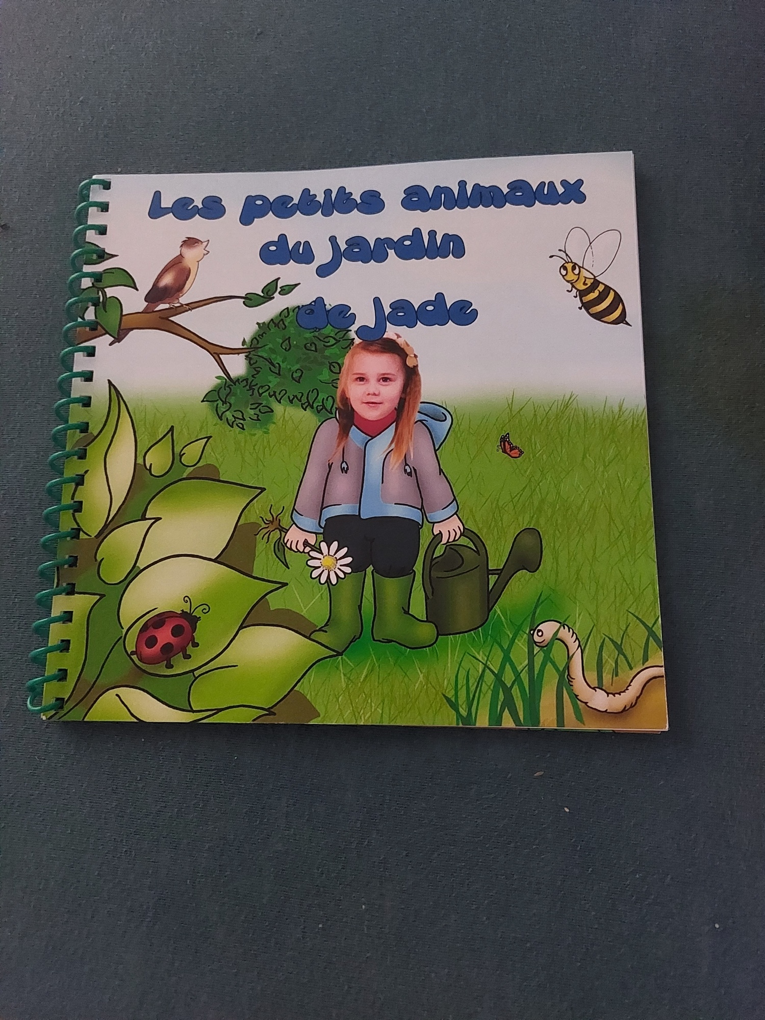 Pré-visualisation