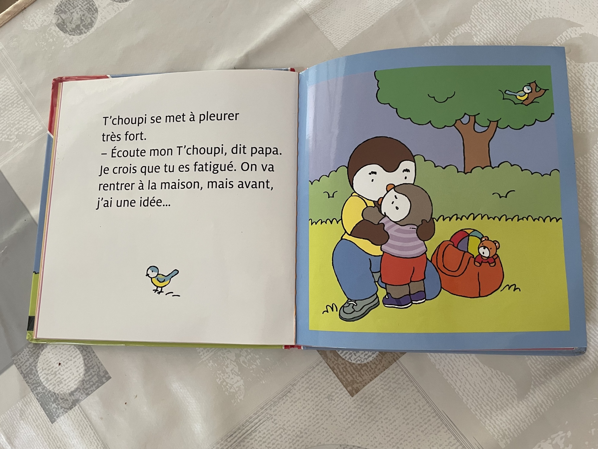 Pré-visualisation