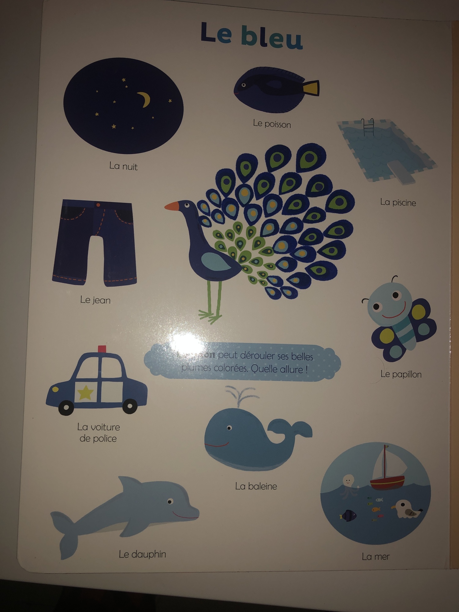 Pré-visualisation