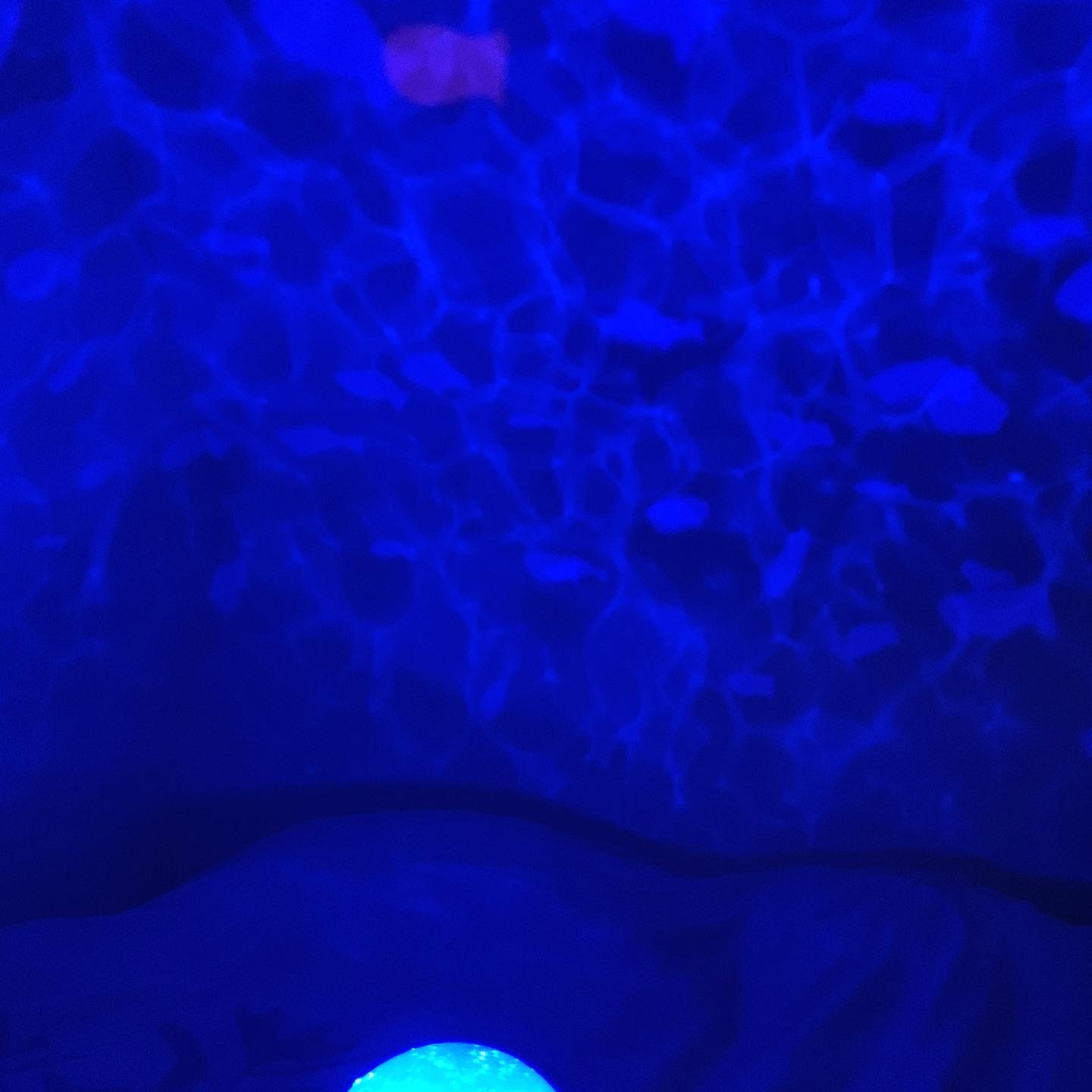 Pré-visualisation