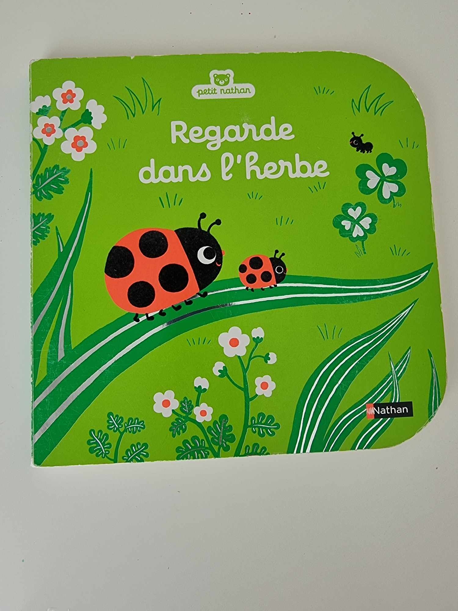 Pré-visualisation