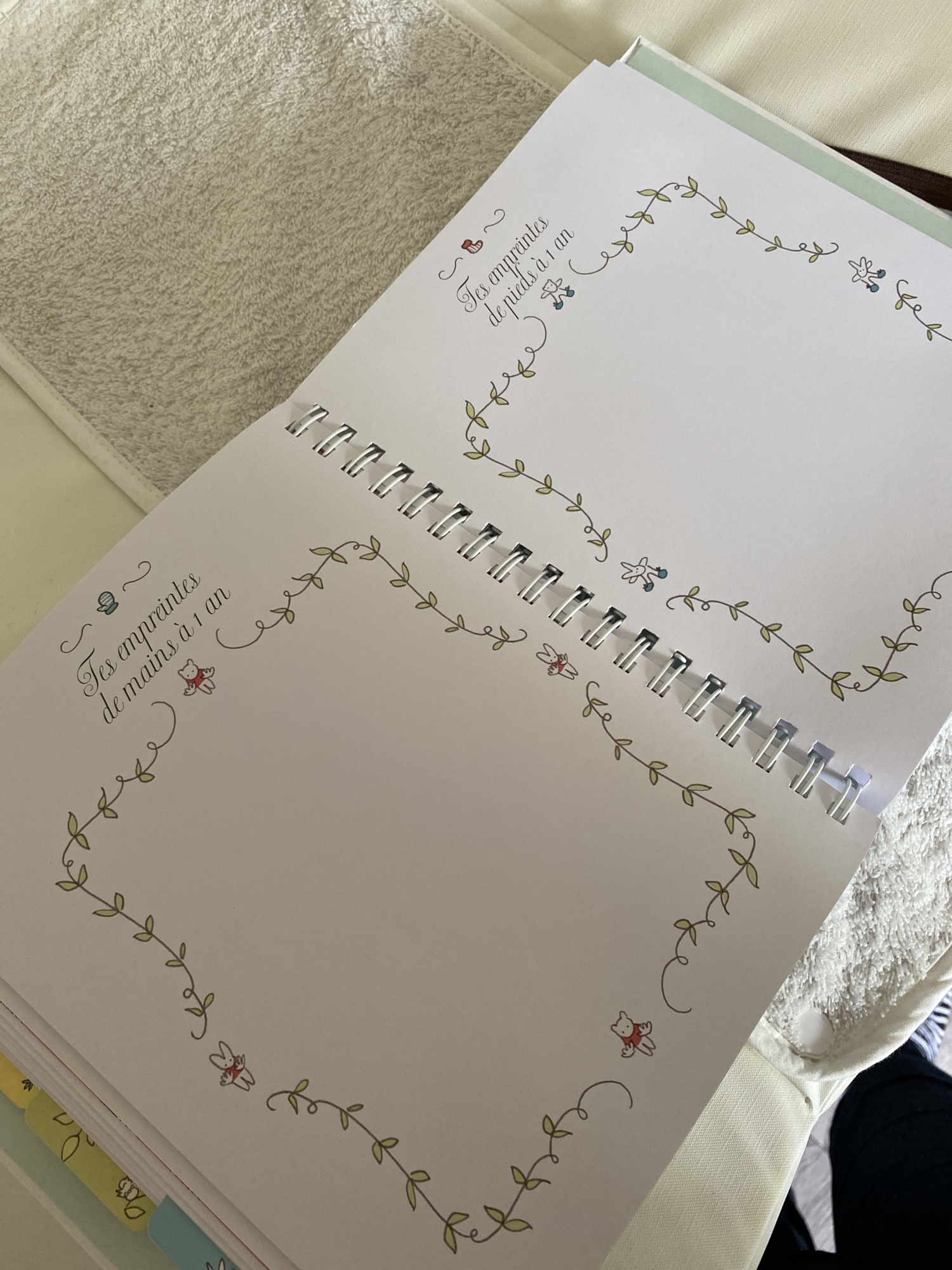 Pré-visualisation