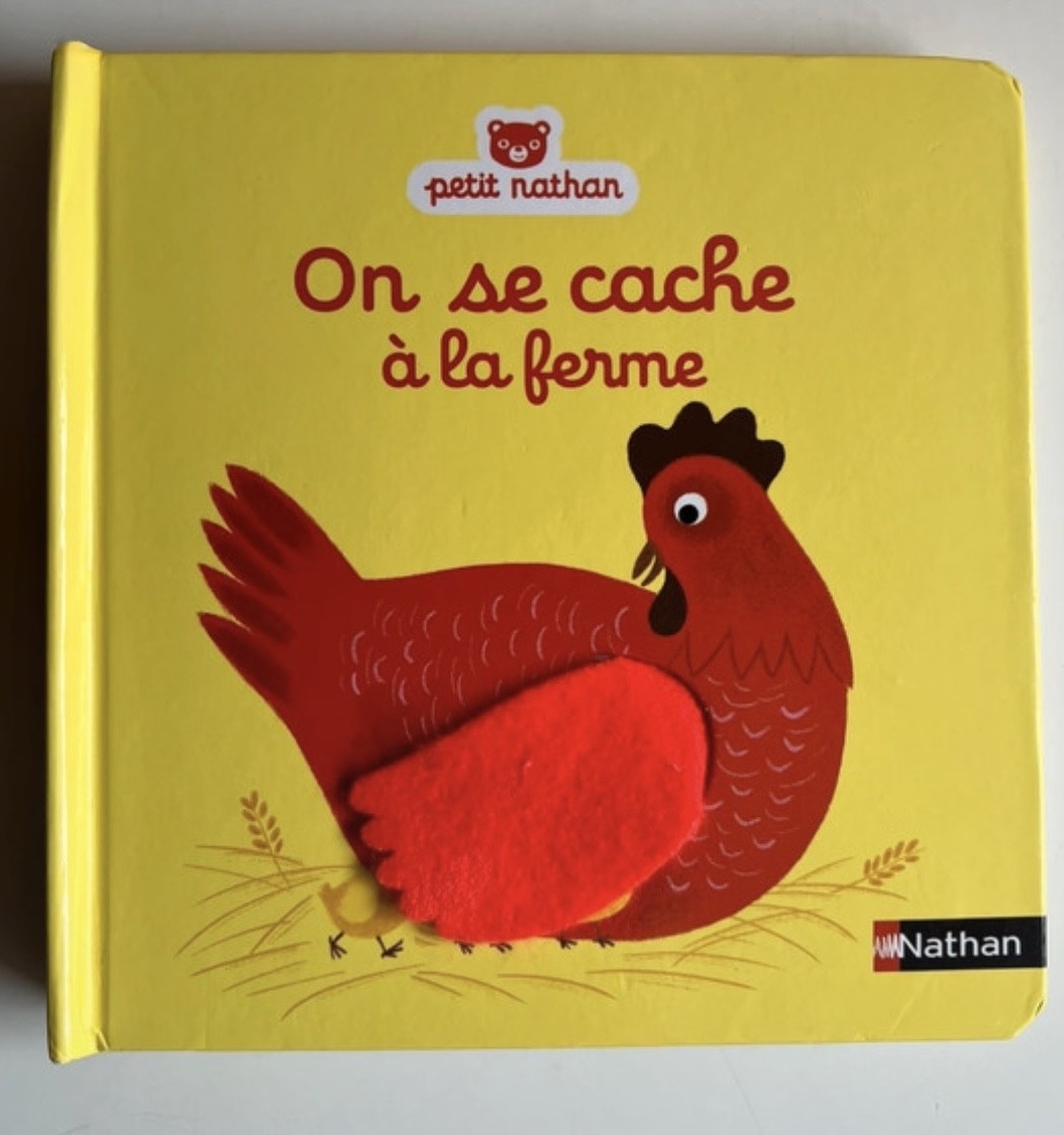 Pré-visualisation