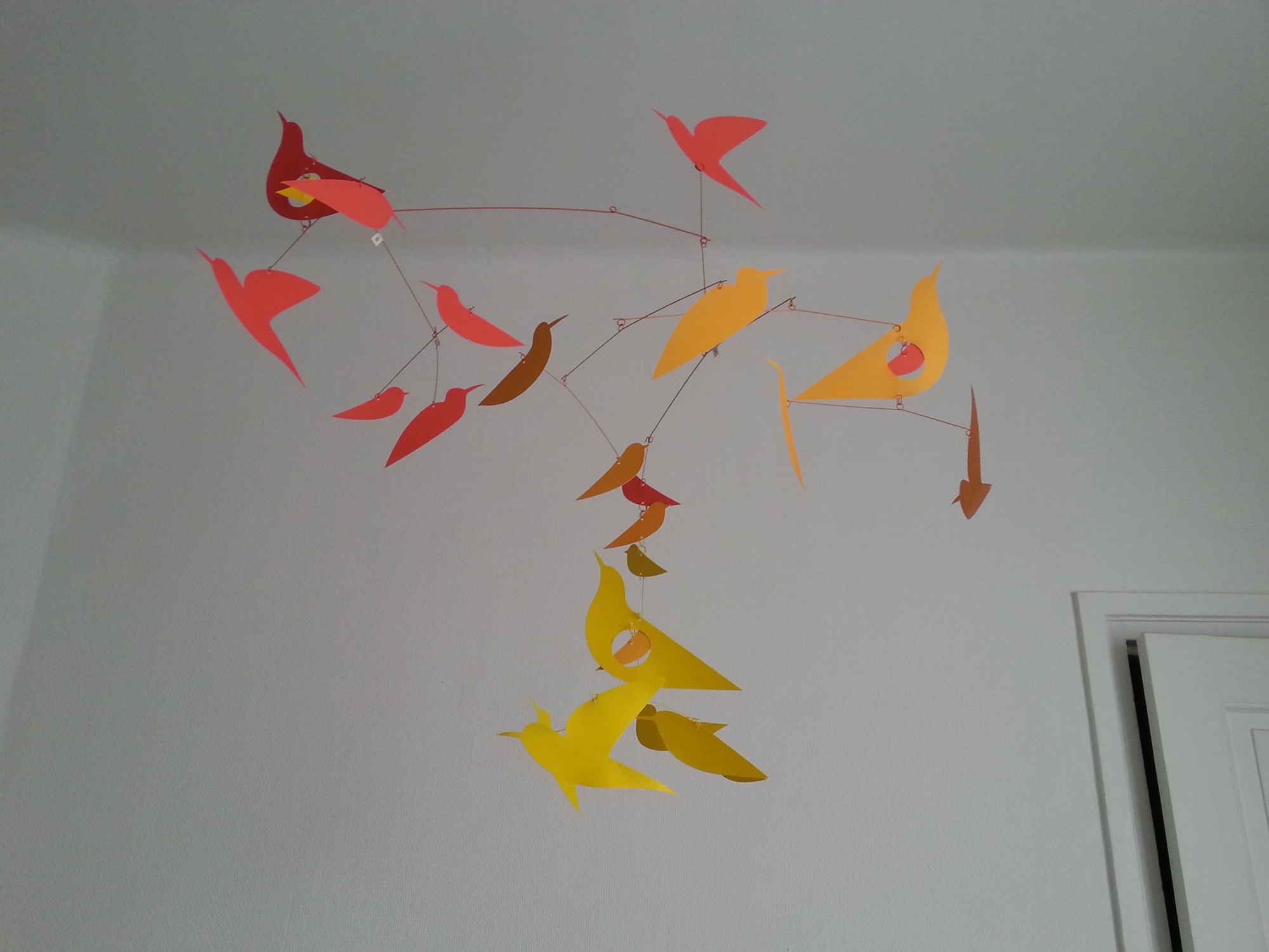 Pré-visualisation