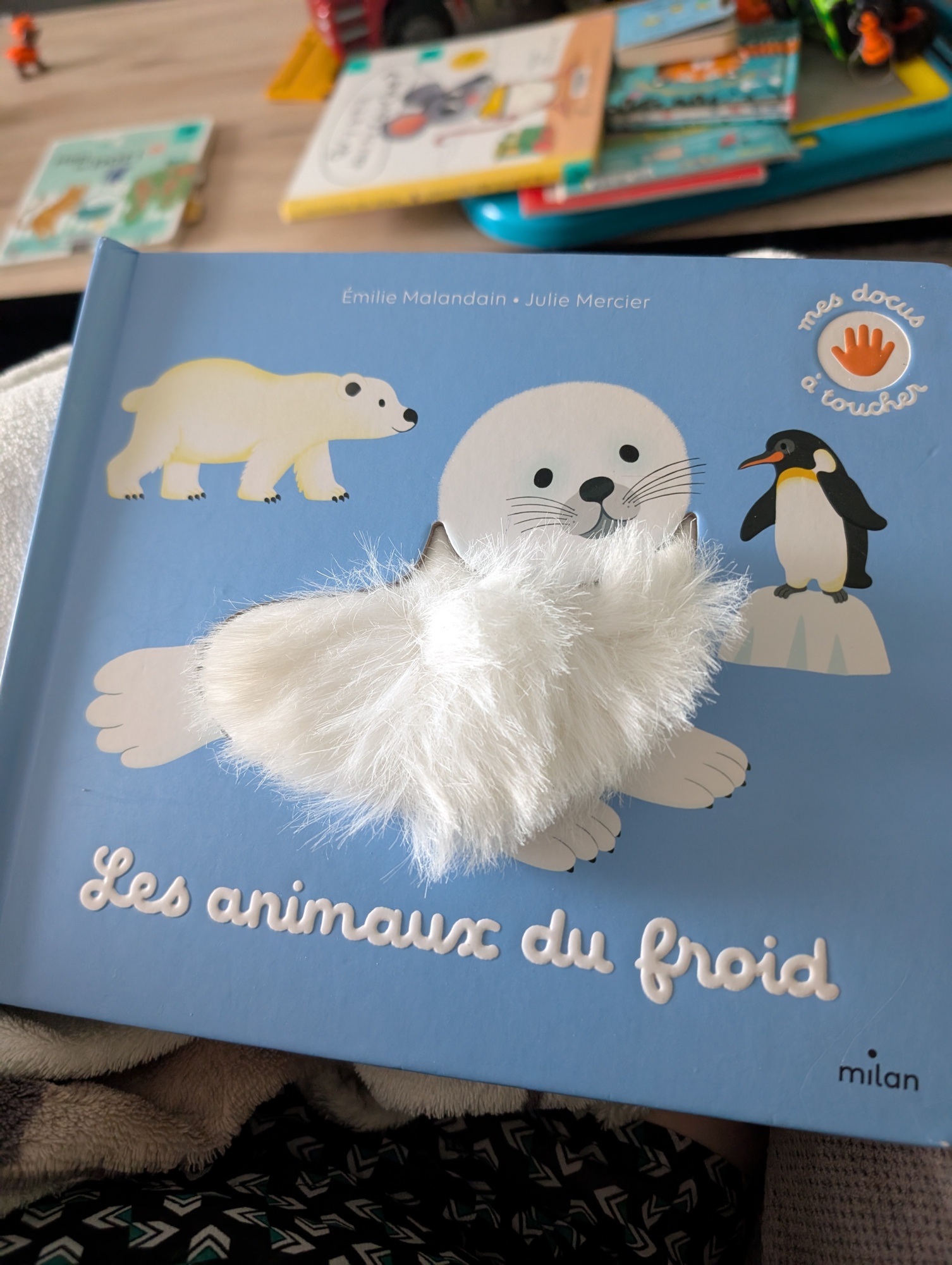 Pré-visualisation