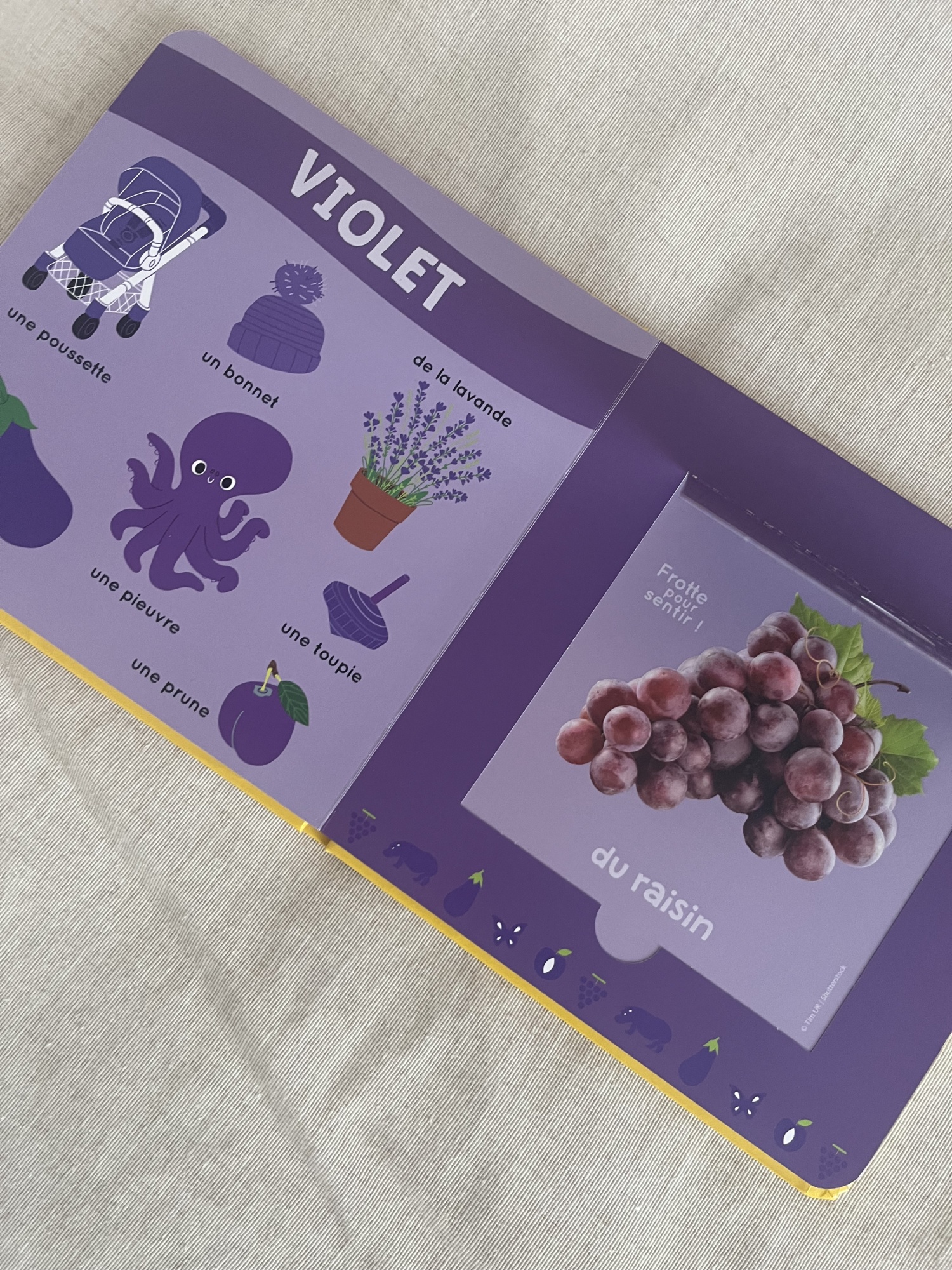 Pré-visualisation