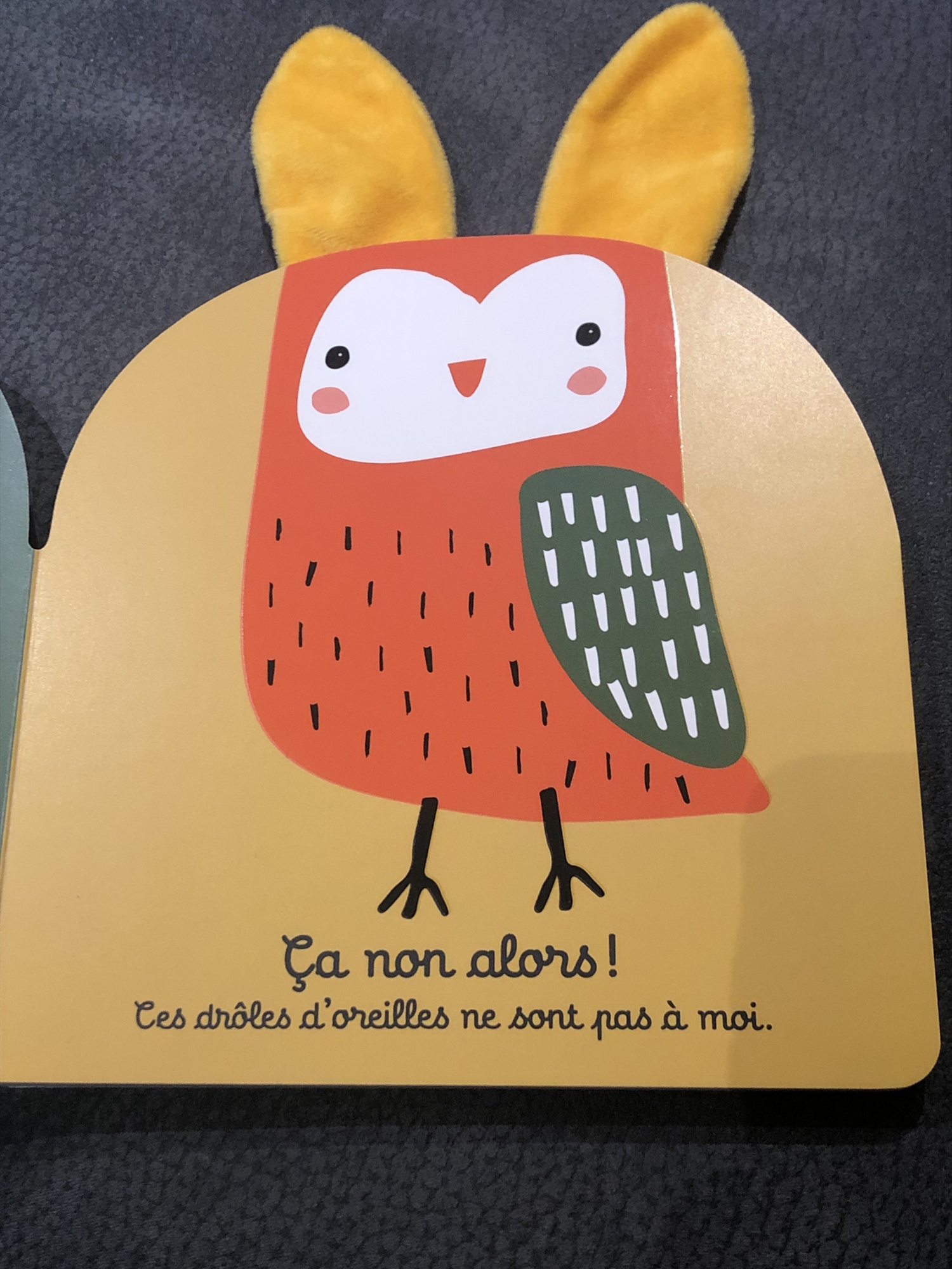 Pré-visualisation