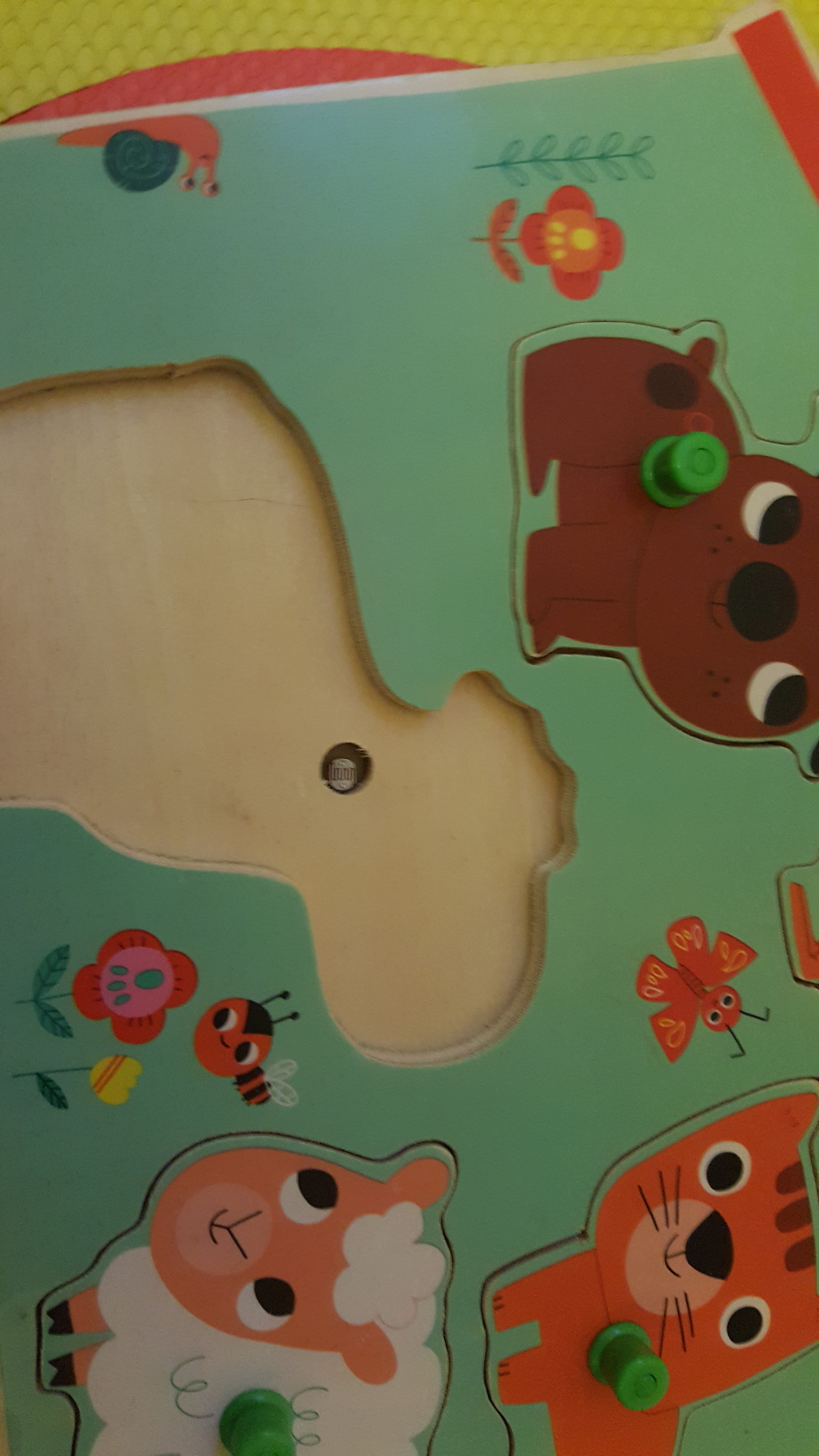 Pré-visualisation