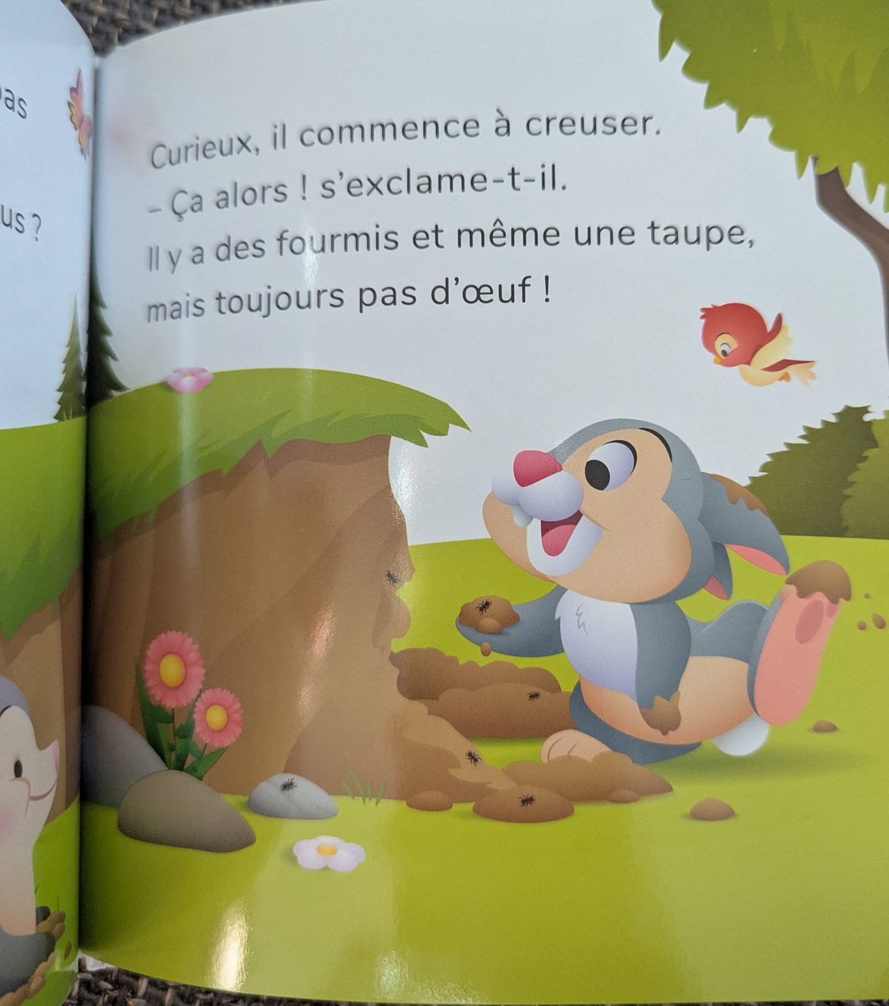 Pré-visualisation