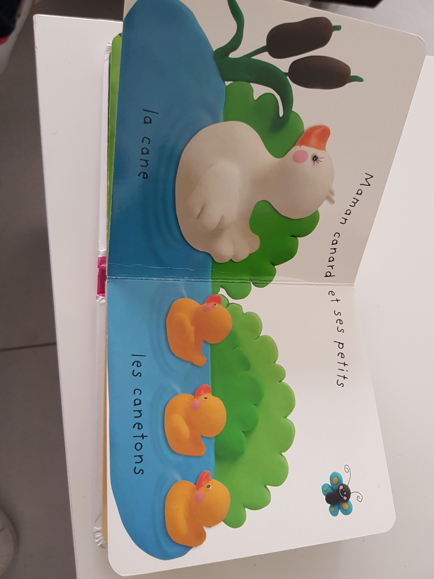 Pré-visualisation