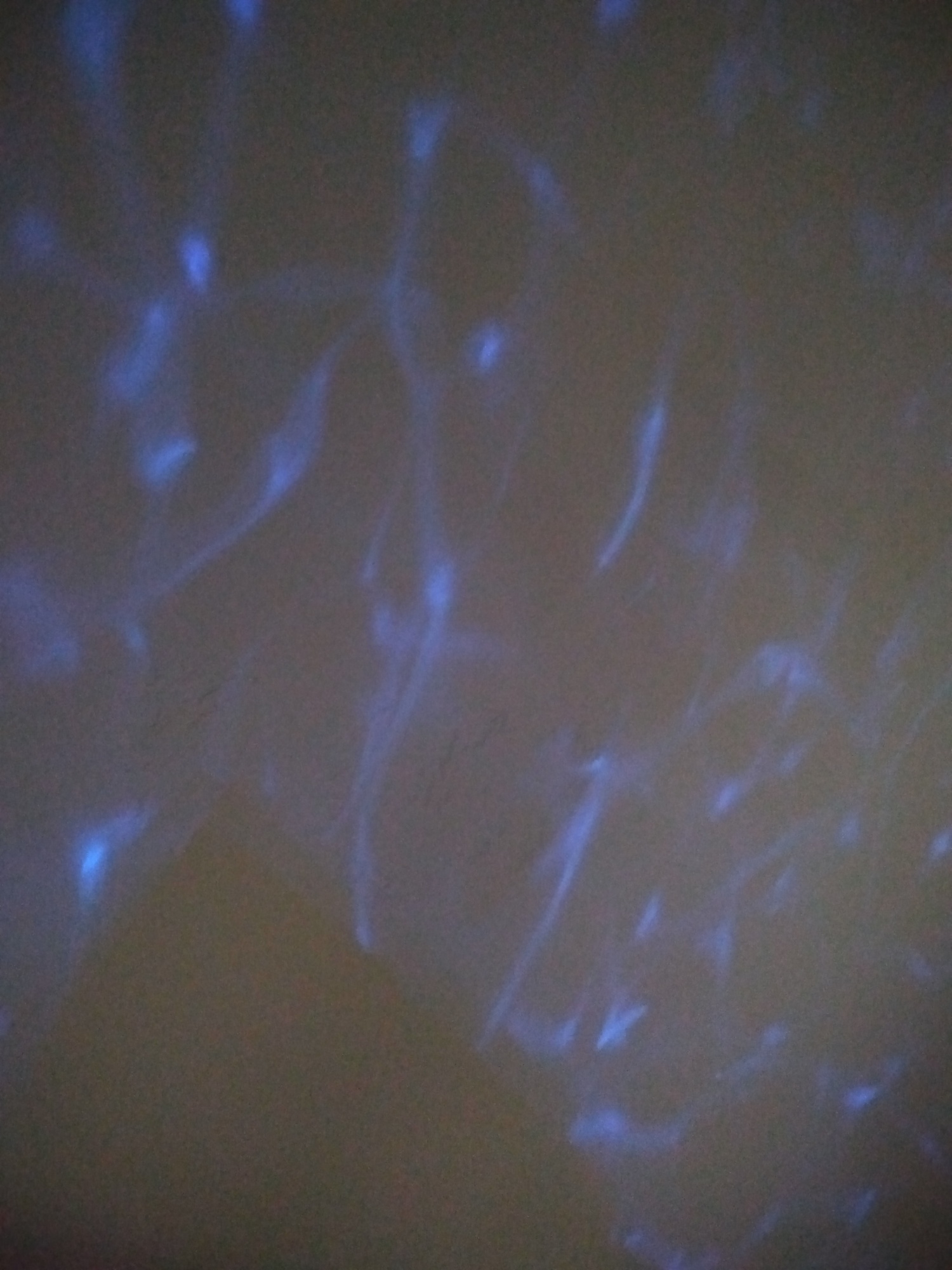 Pré-visualisation