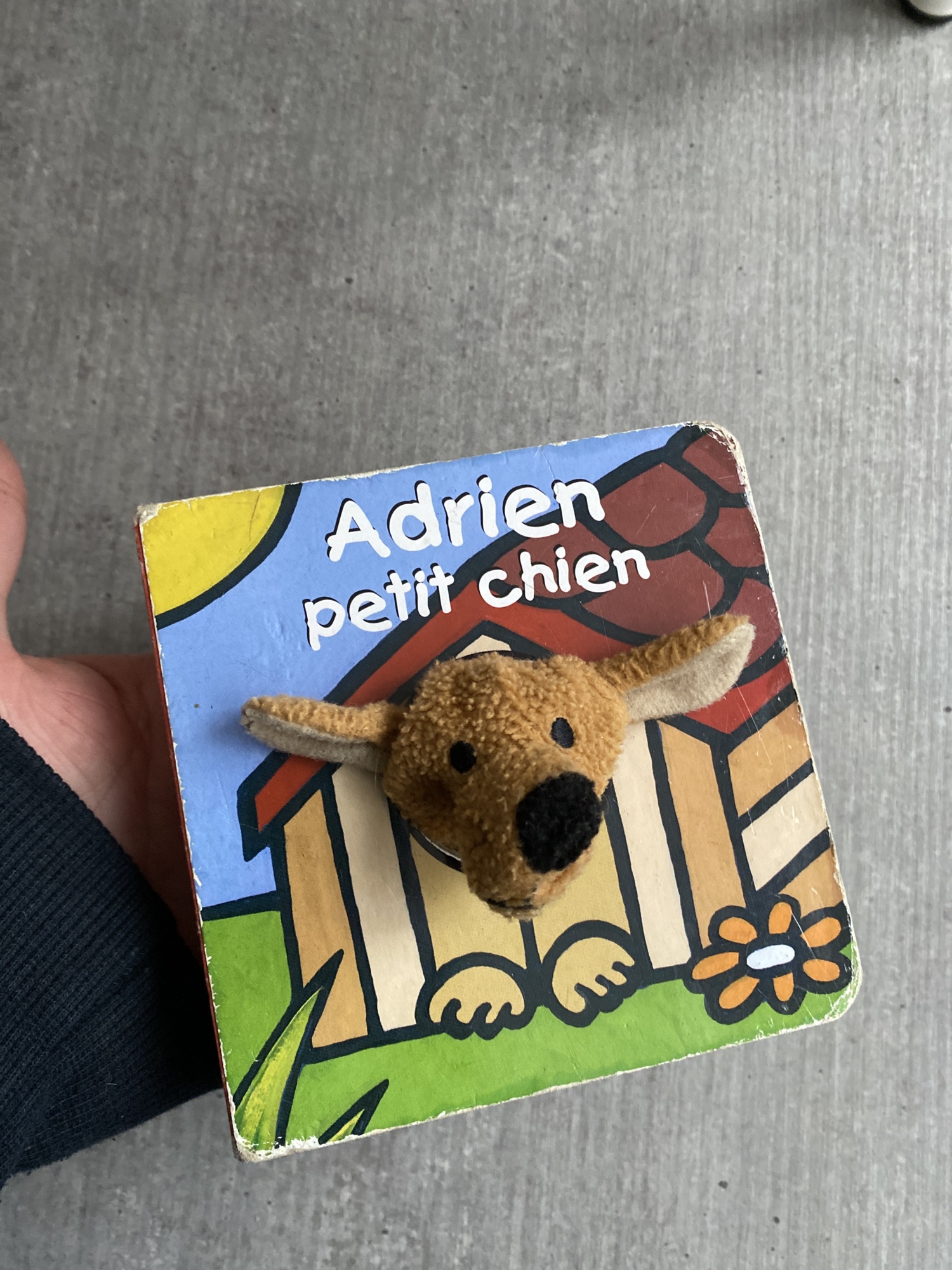 Pré-visualisation