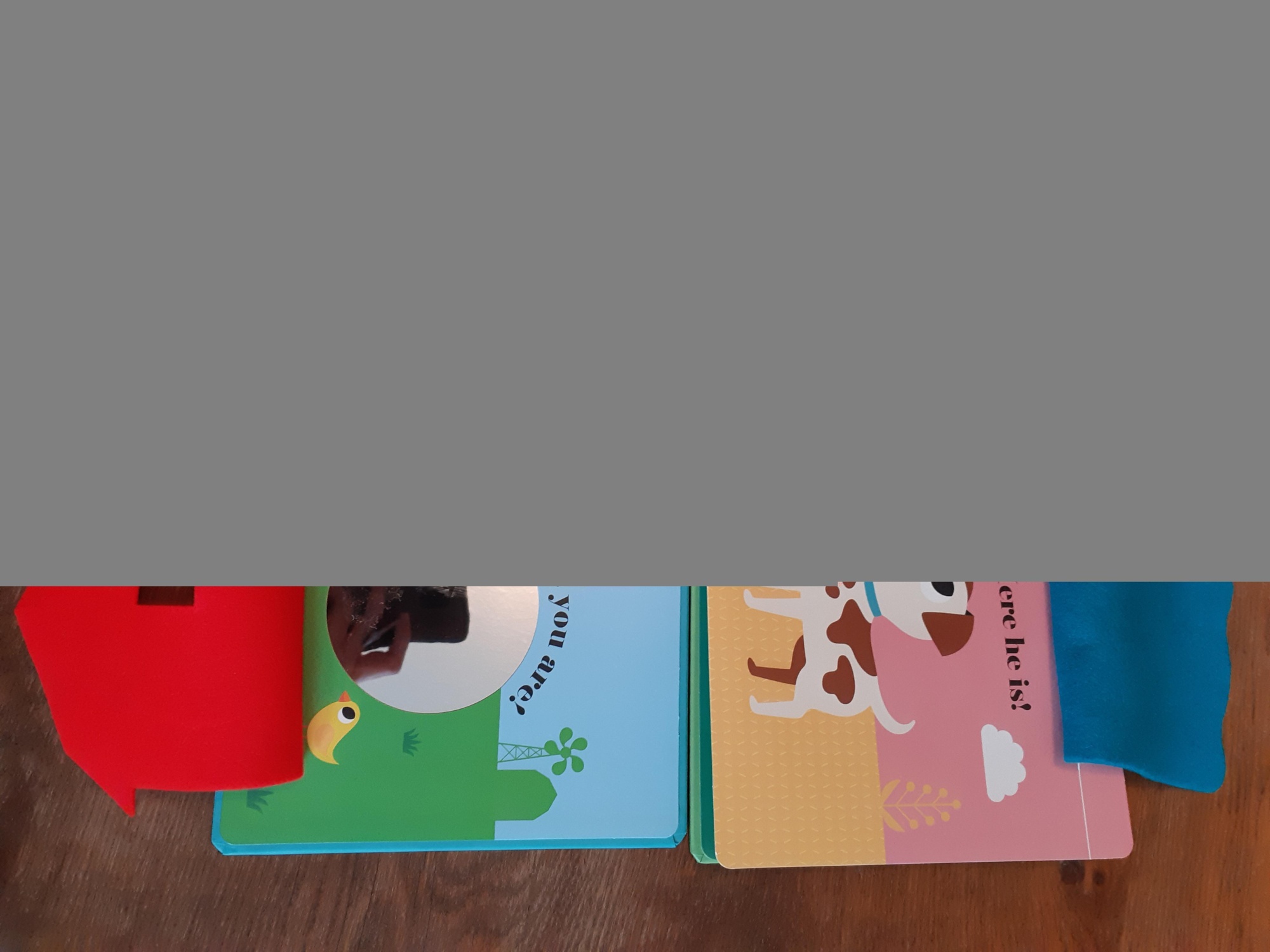 Pré-visualisation