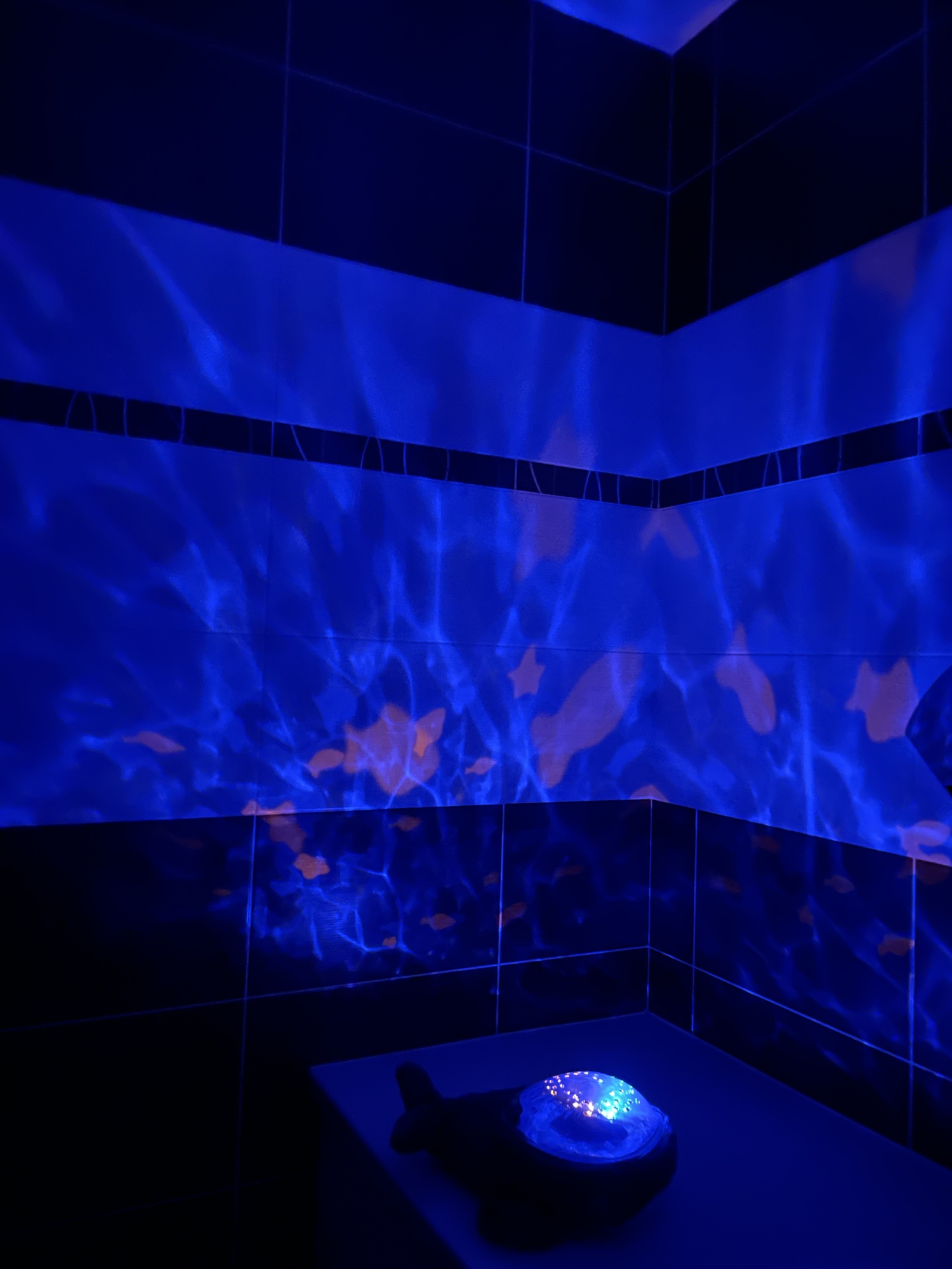 Pré-visualisation