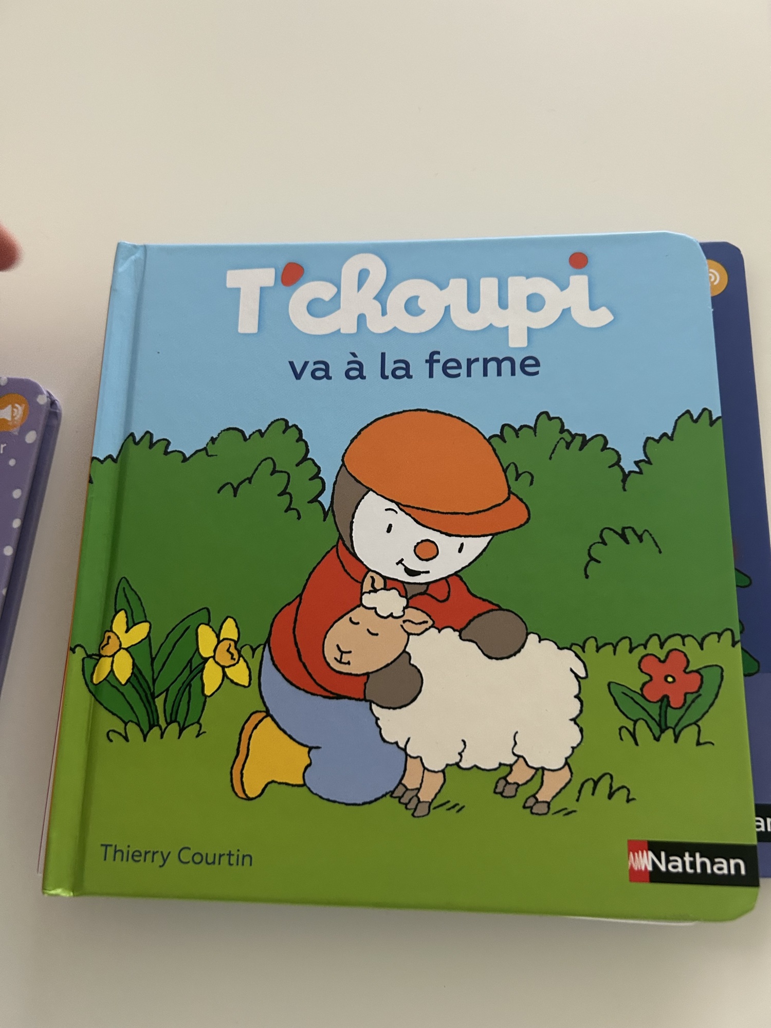 Pré-visualisation