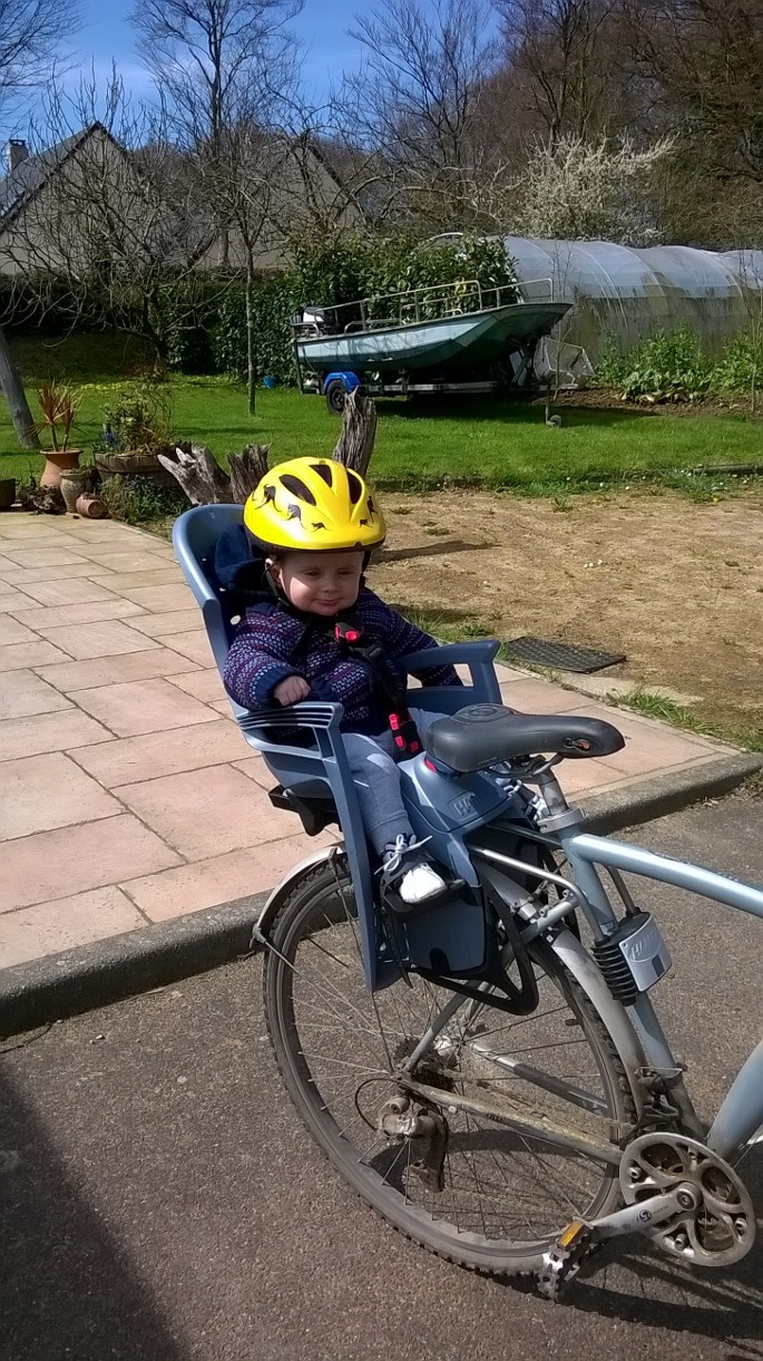 Hamax Siège vélo pour enfant Sleepy Recliner Fixation à l'arrière