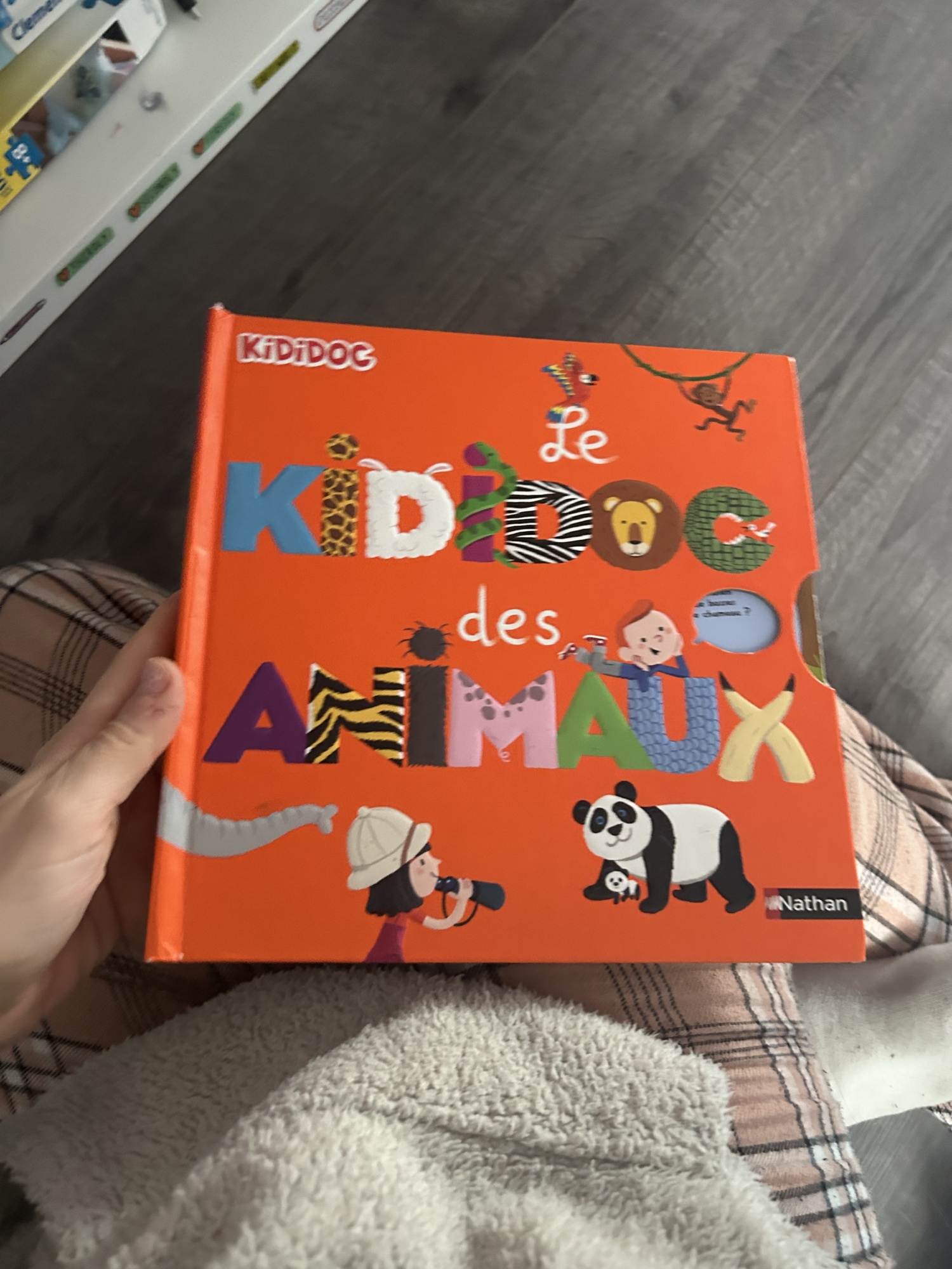 Pré-visualisation