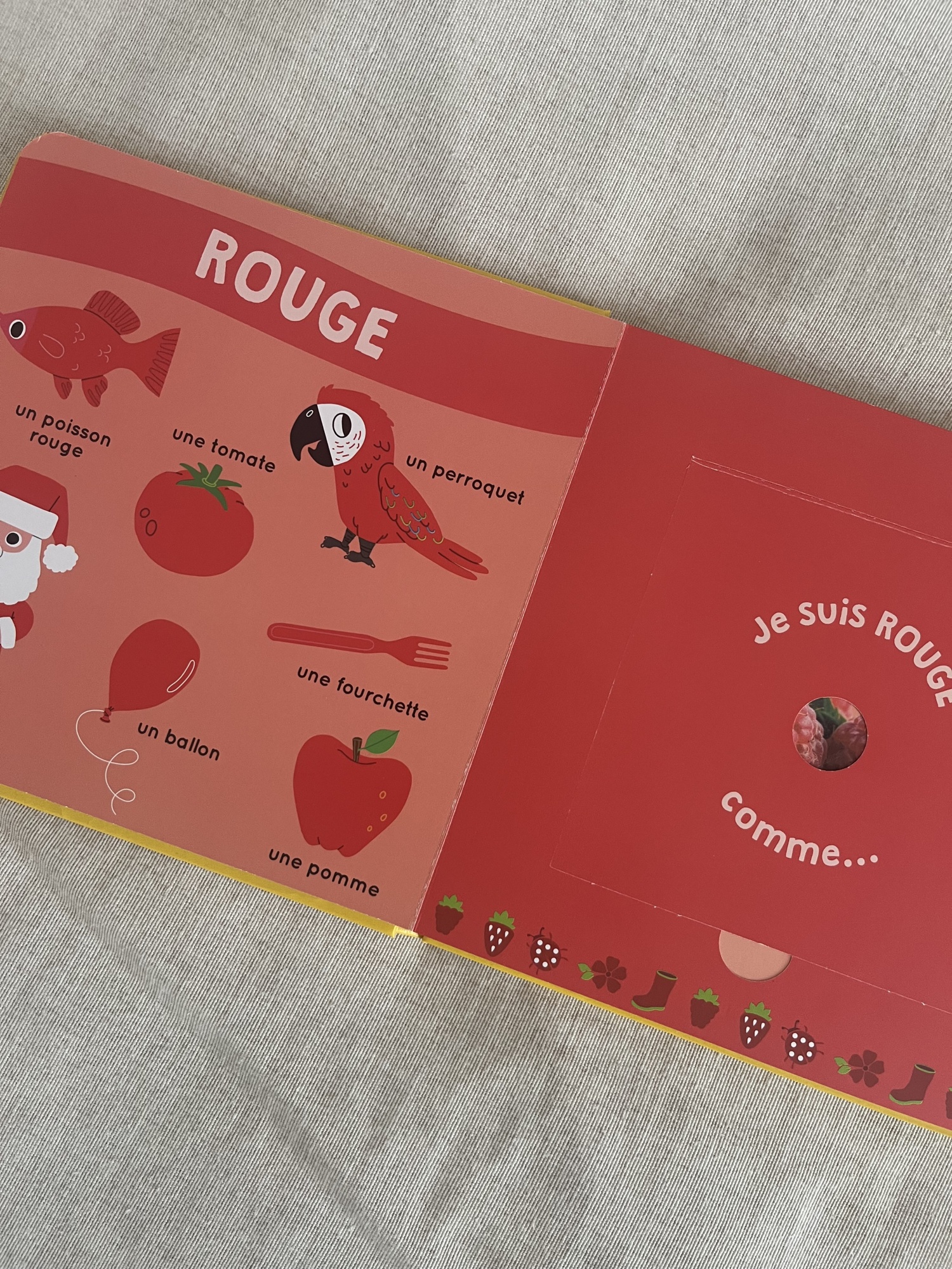 Pré-visualisation