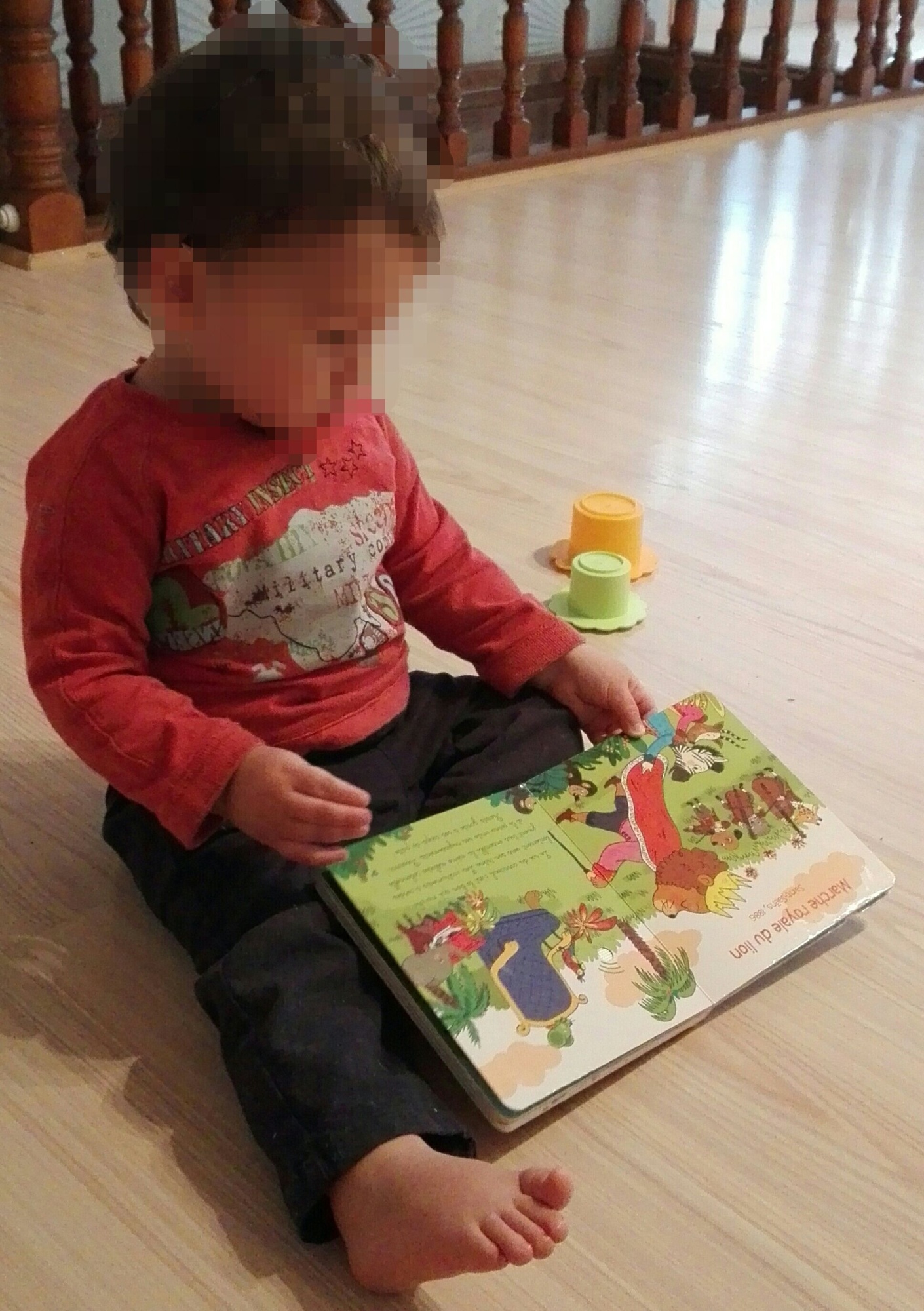 Pré-visualisation