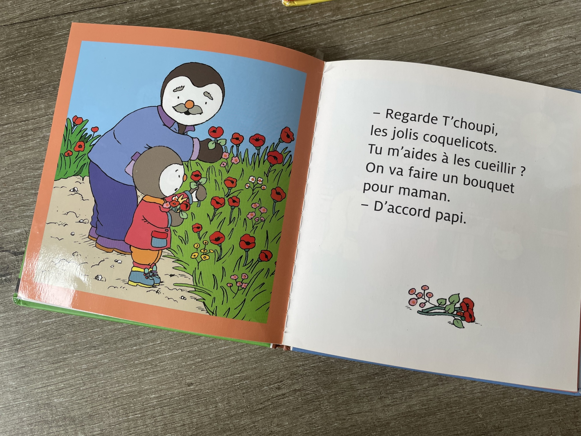 Pré-visualisation