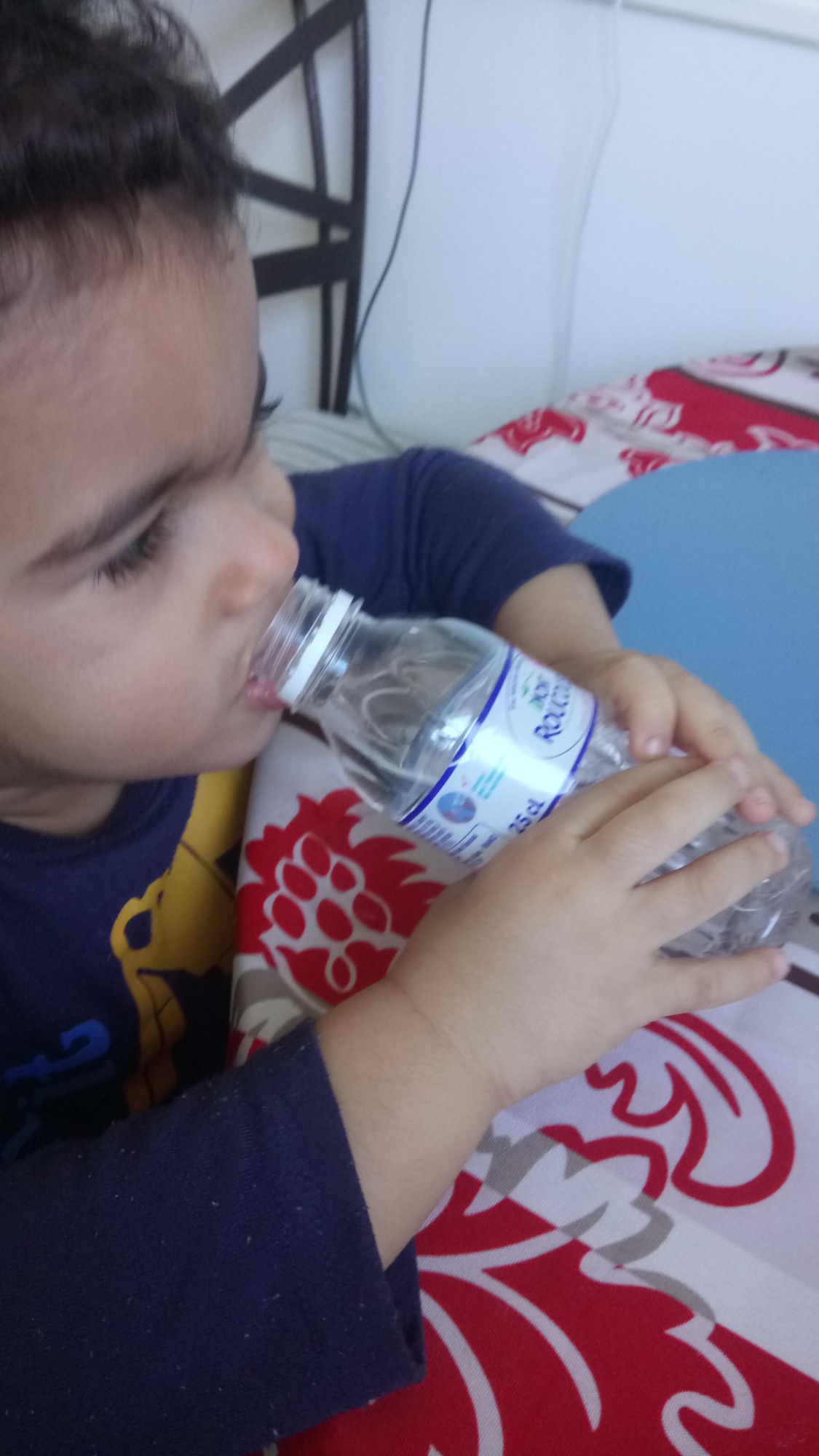 Eau Minérale Mont ROUCOUS 12 x25 cL Page 2 : Comparateur, Avis, Prix