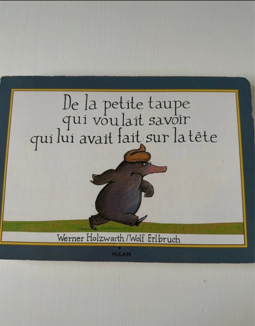 Pré-visualisation