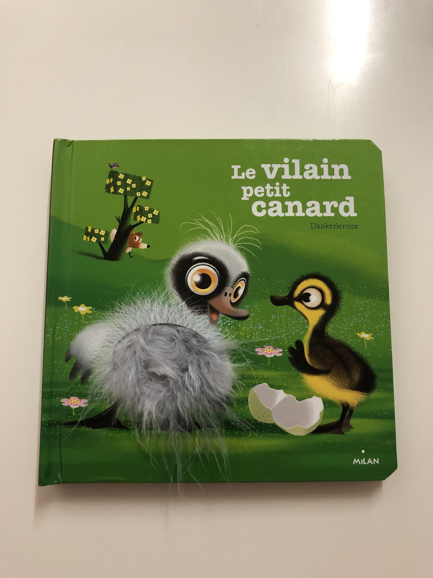Pré-visualisation