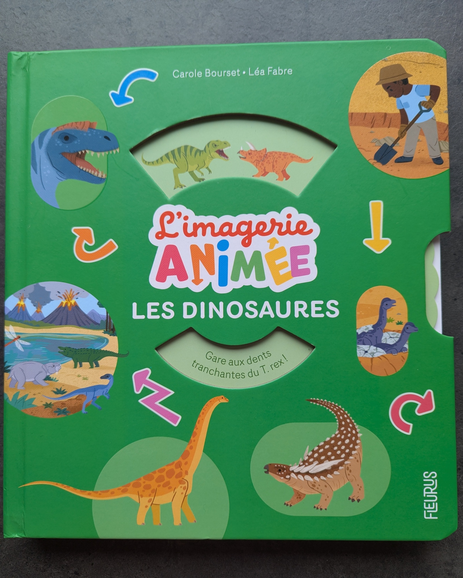 Pré-visualisation