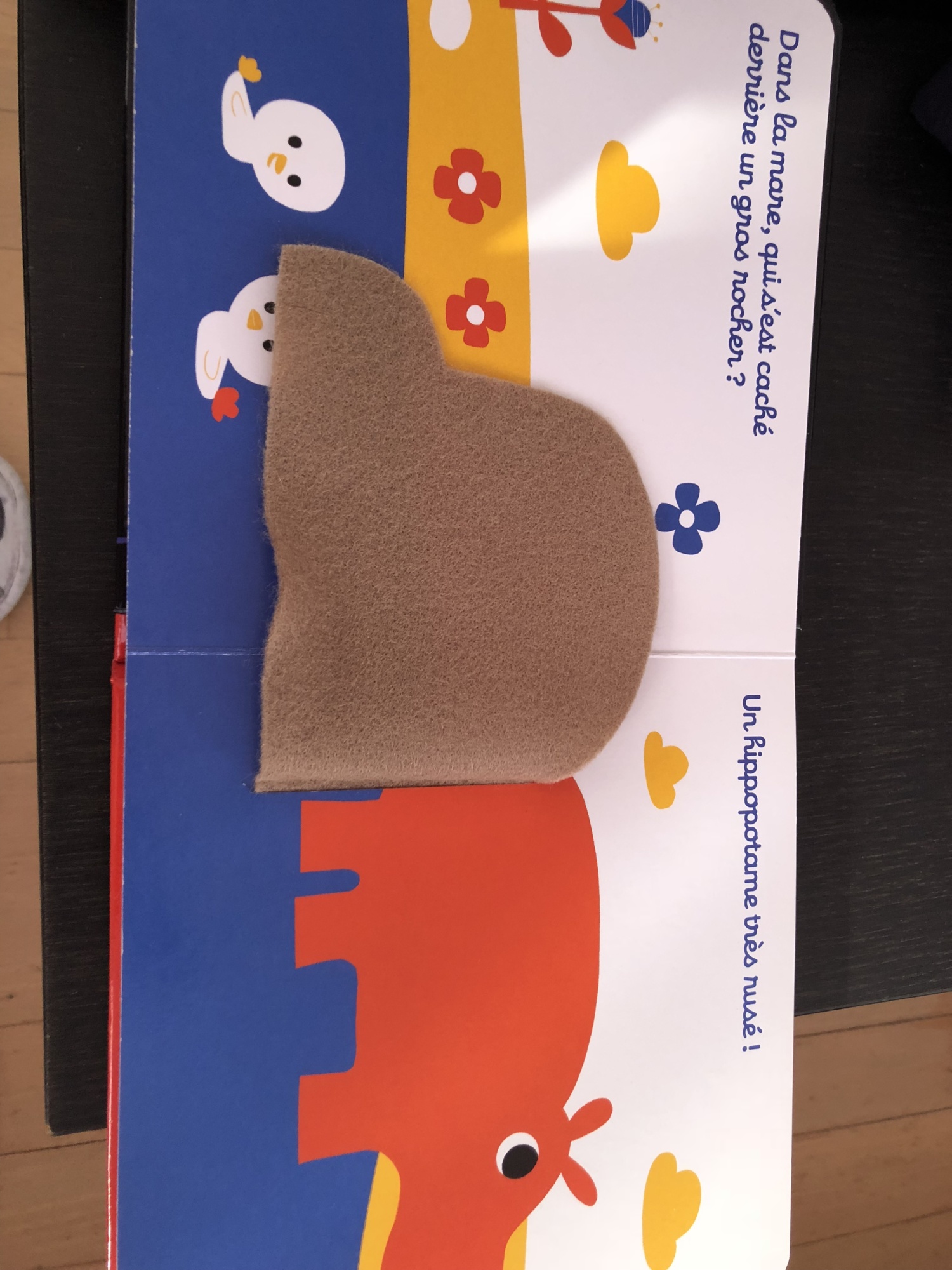 Pré-visualisation
