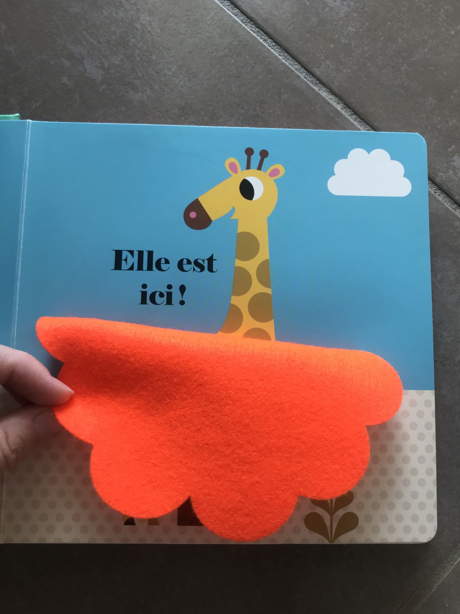 Pré-visualisation