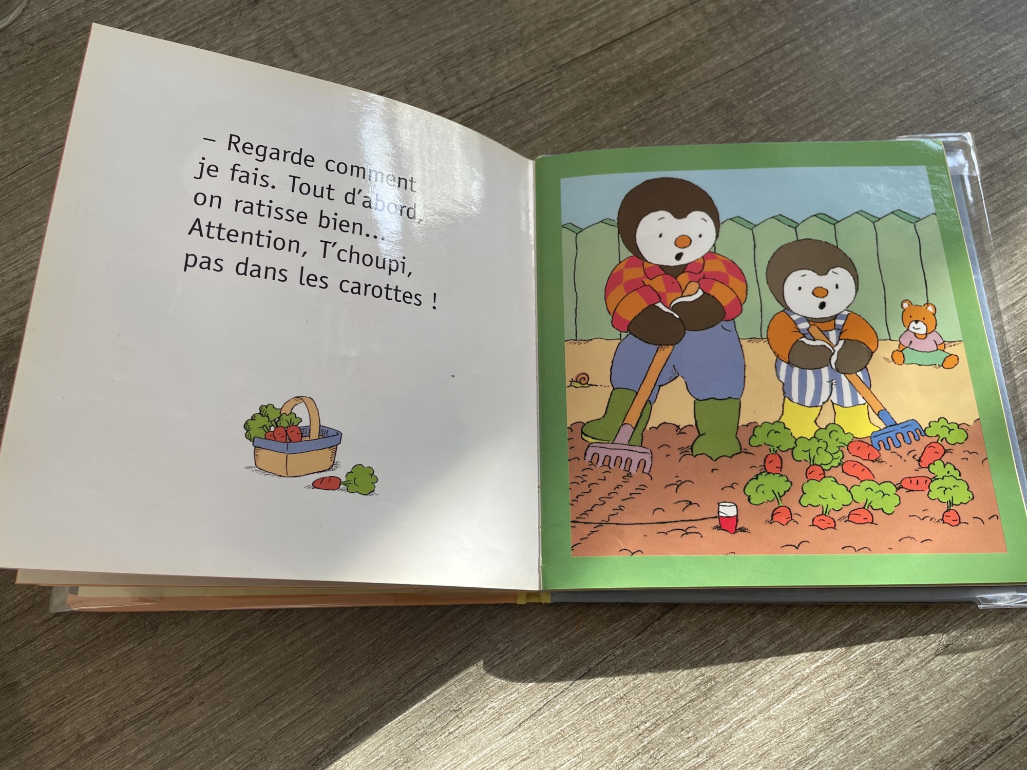 Pré-visualisation