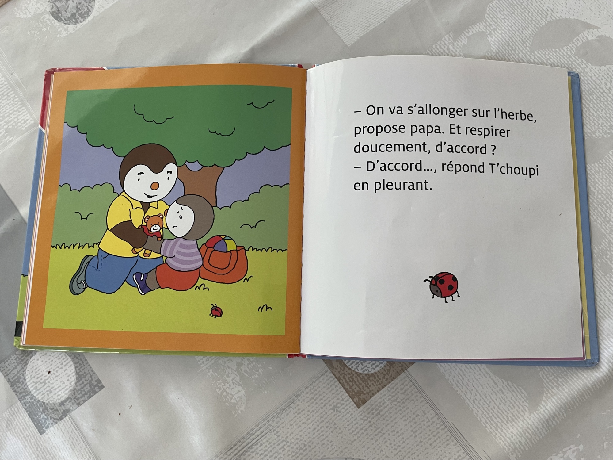 Pré-visualisation