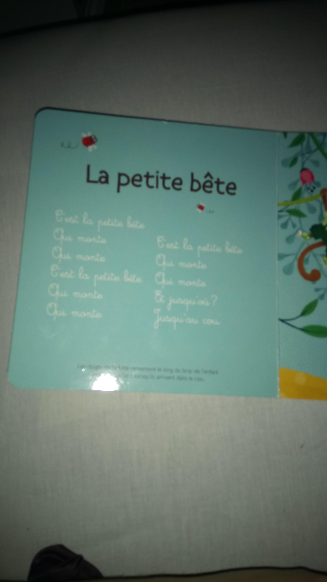 Pré-visualisation