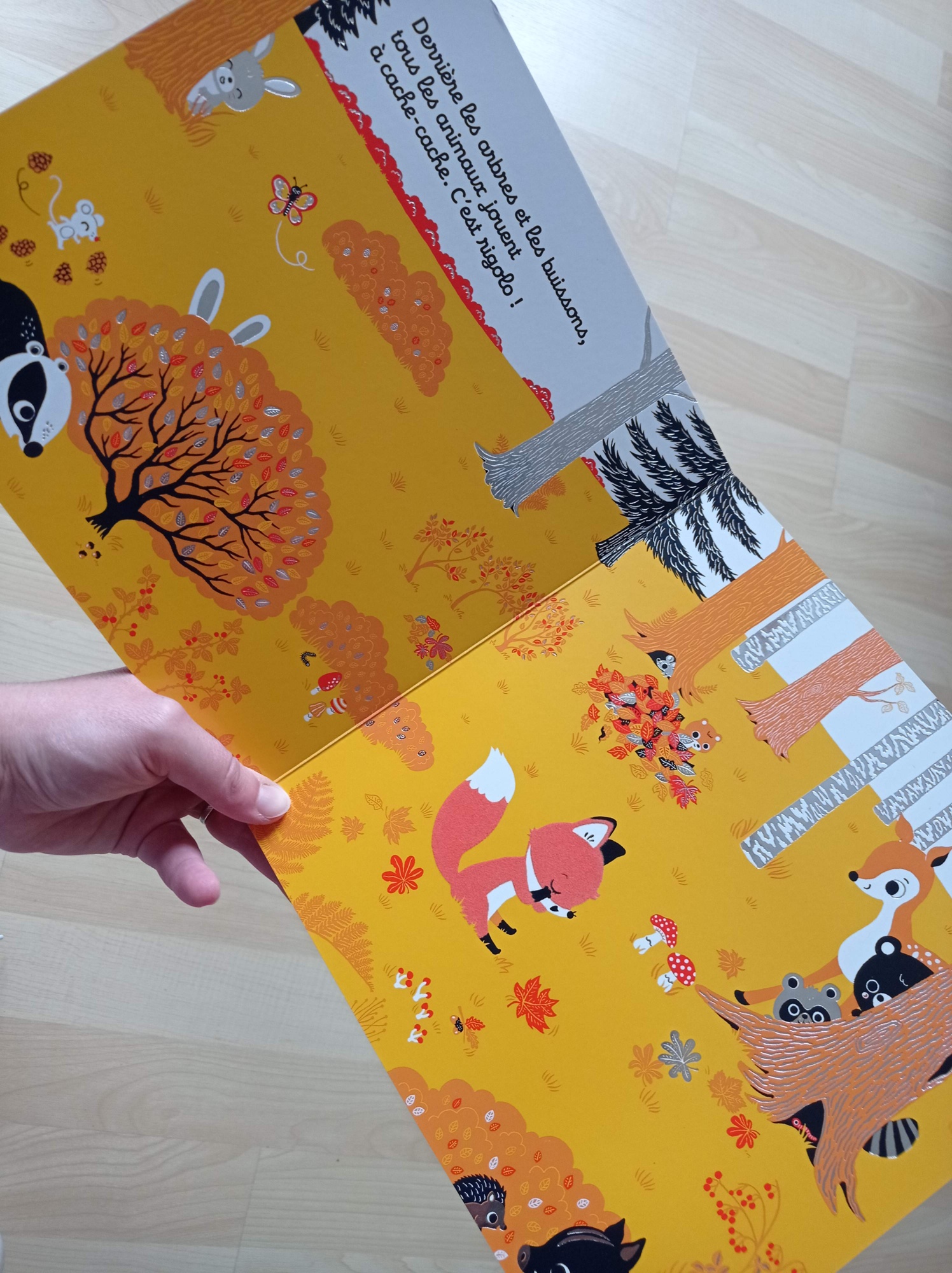 Pré-visualisation