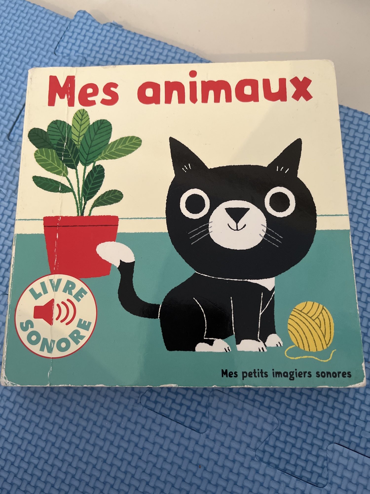 Pré-visualisation
