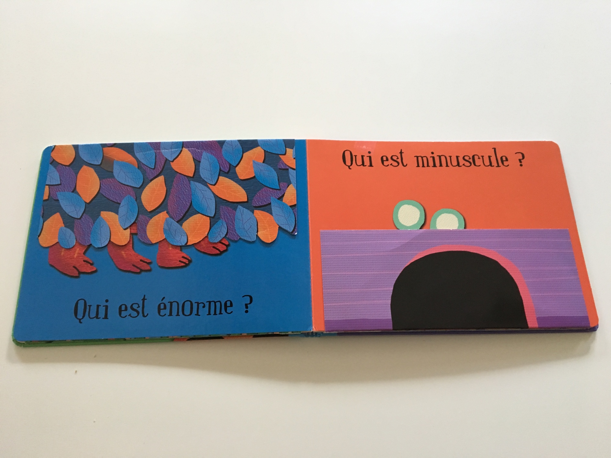 Pré-visualisation