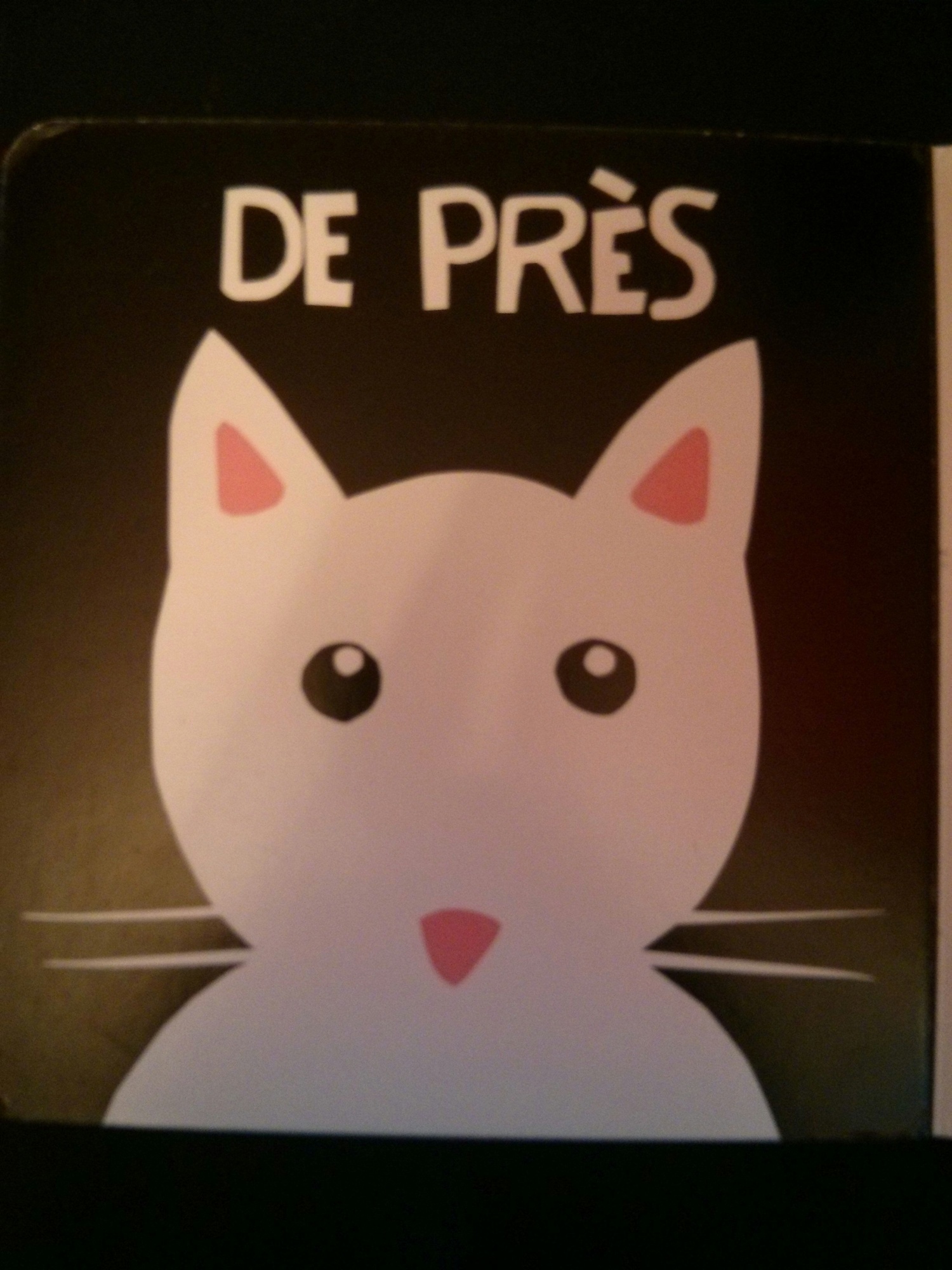 Pré-visualisation
