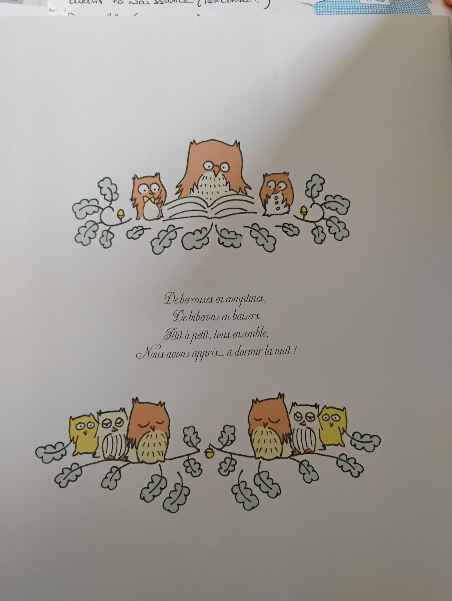 Pré-visualisation
