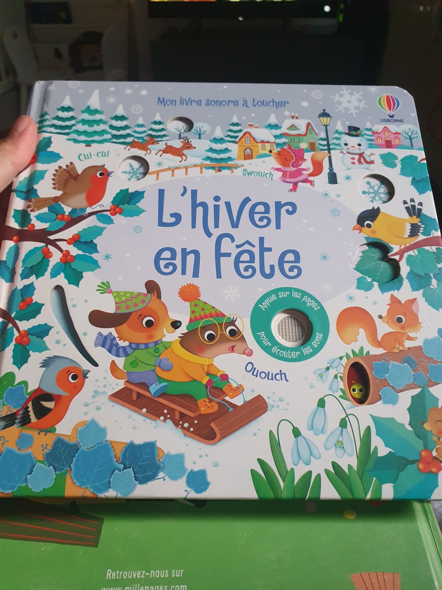Pré-visualisation