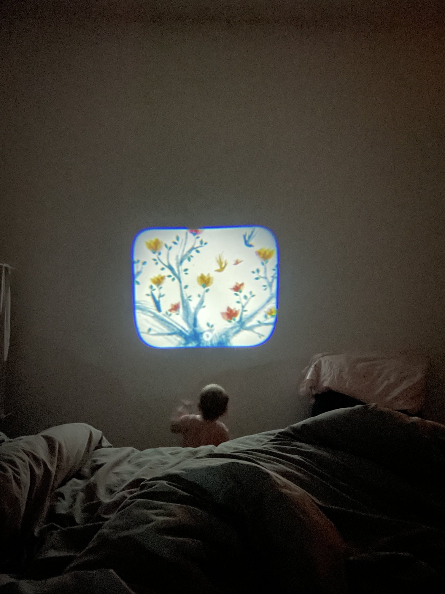 Pré-visualisation