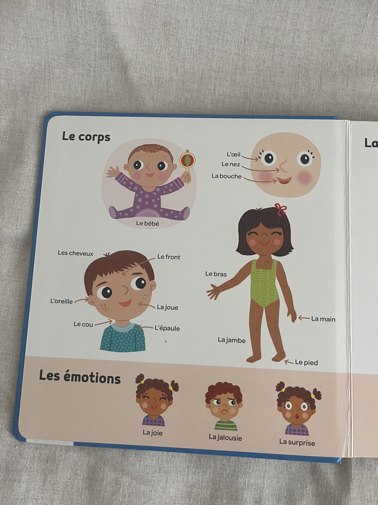 Pré-visualisation