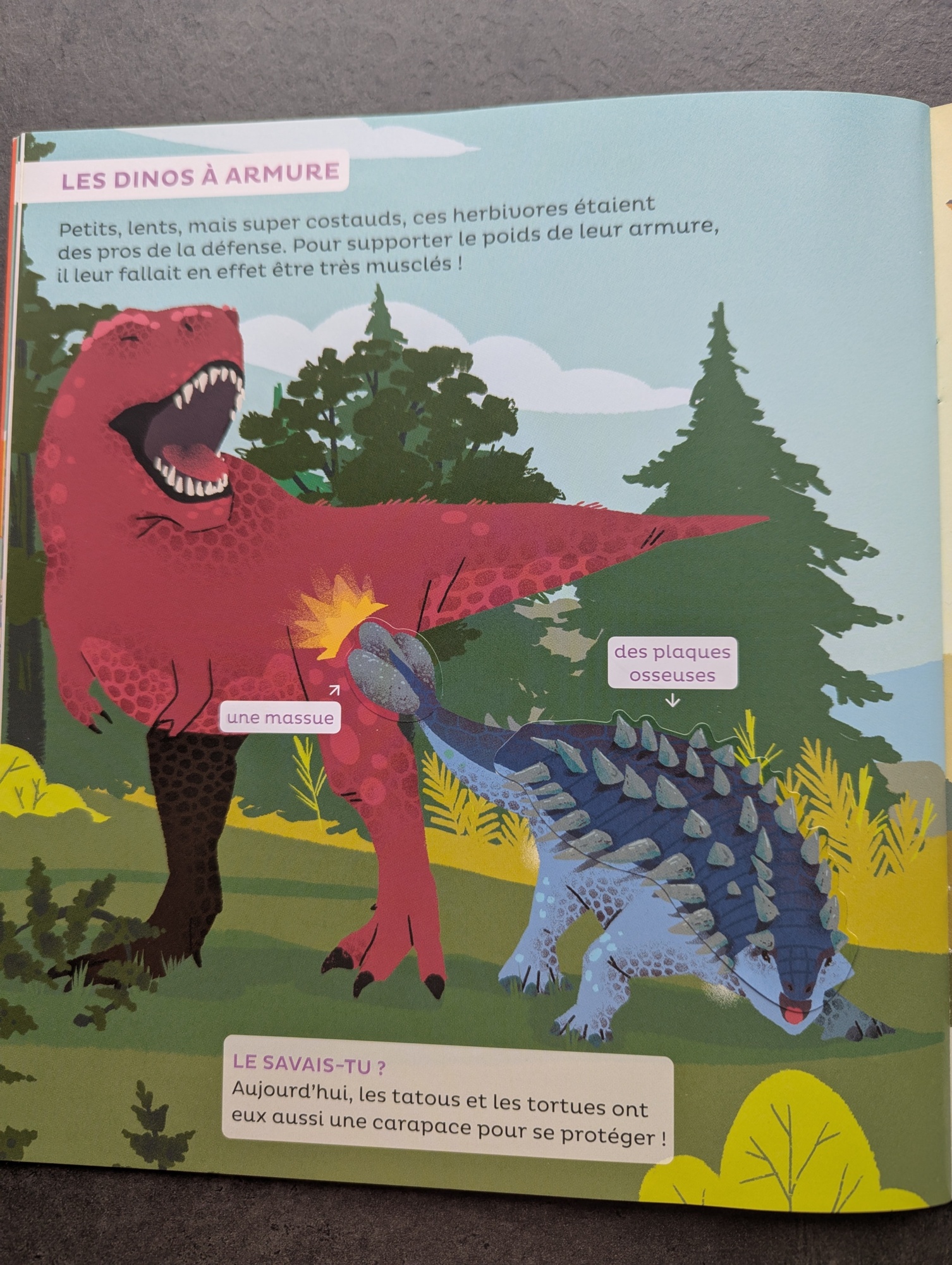 Pré-visualisation