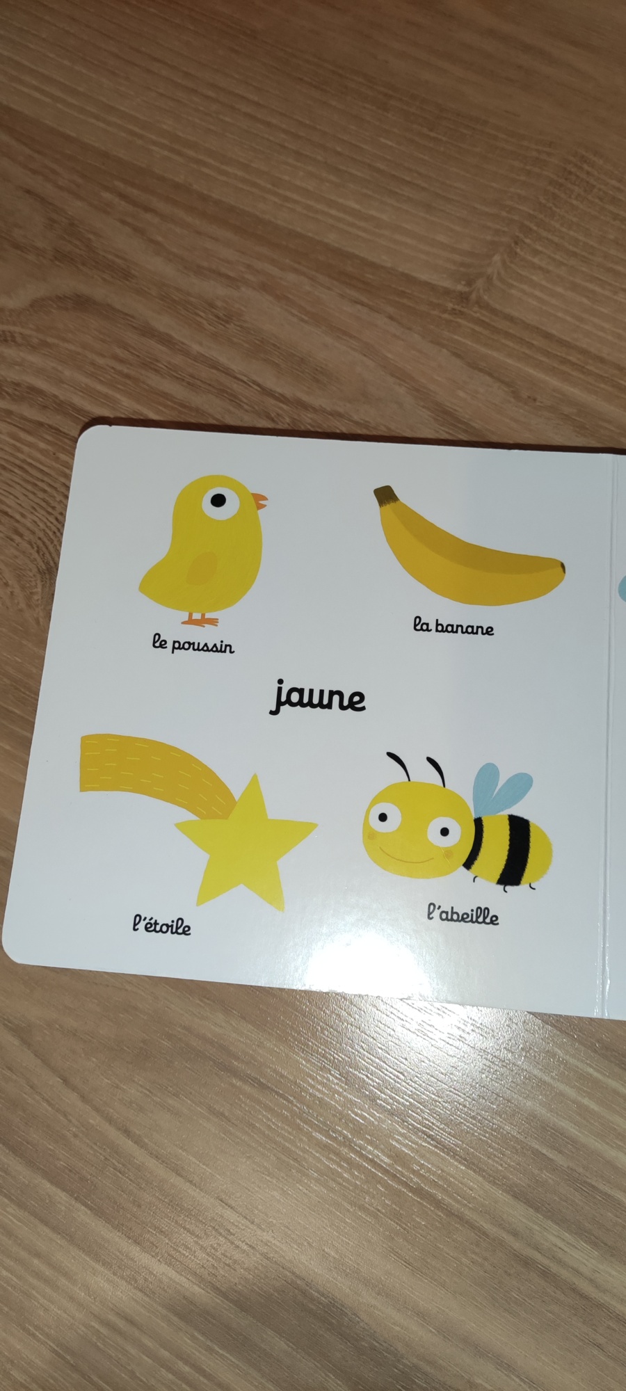 Pré-visualisation