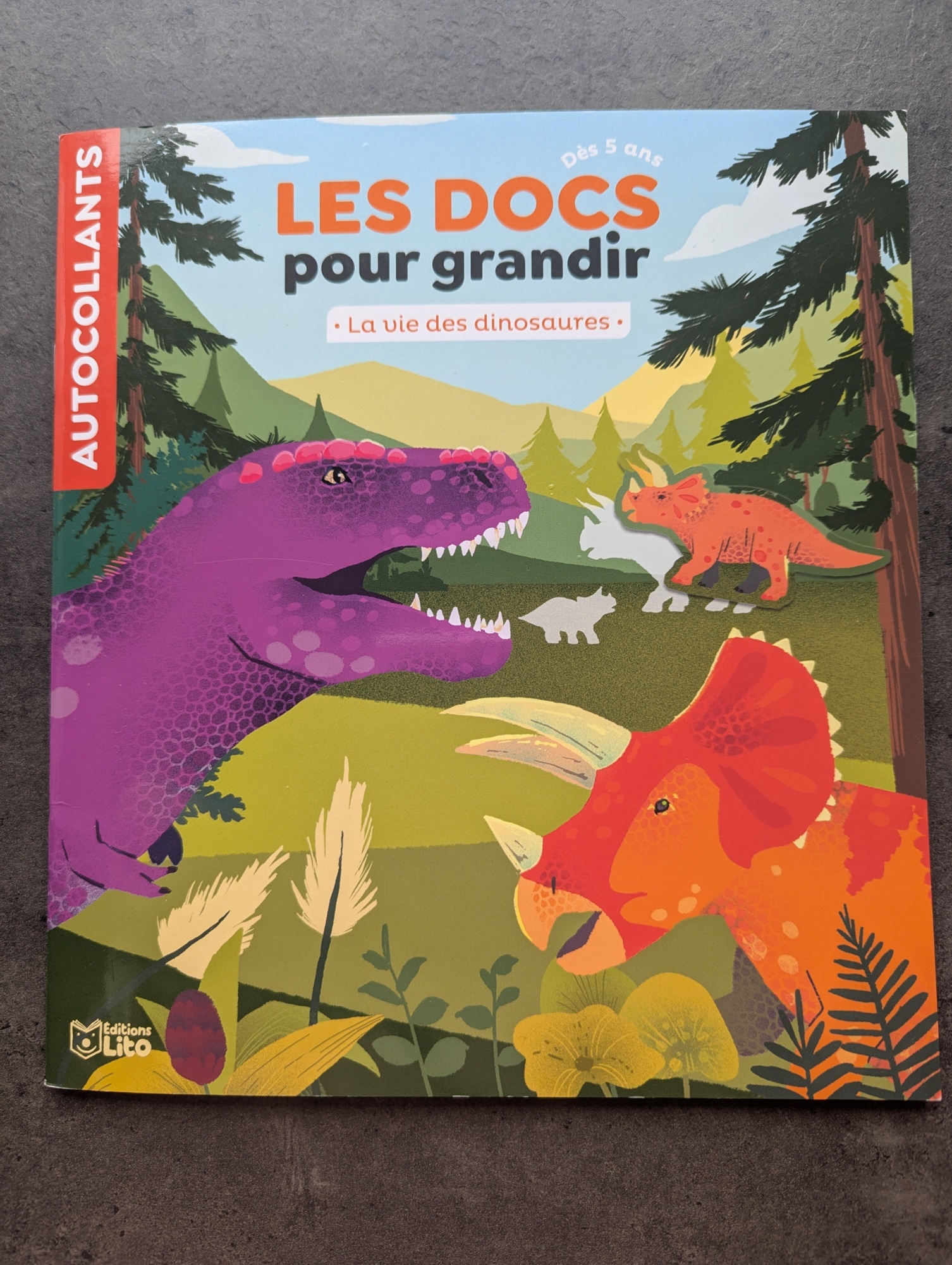 Pré-visualisation